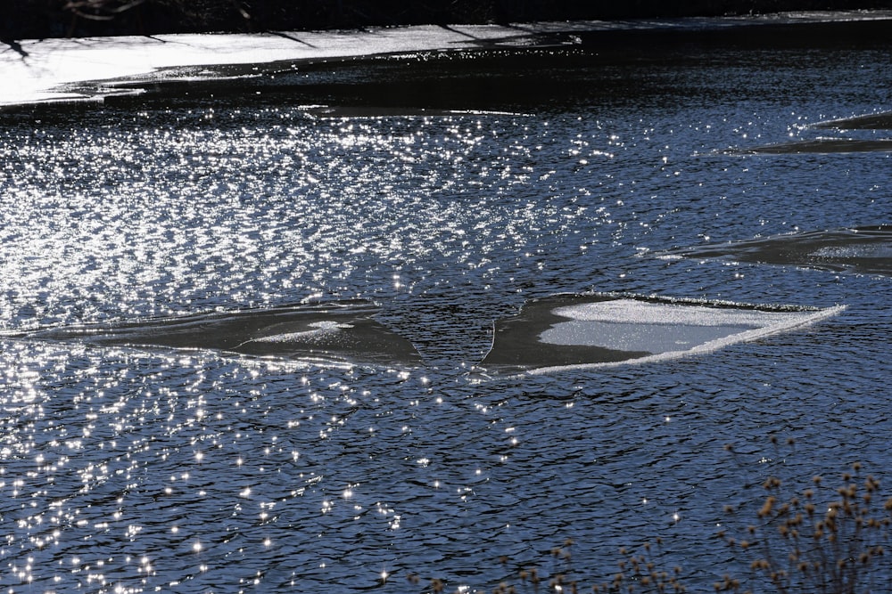 a body of water that has some ice on it