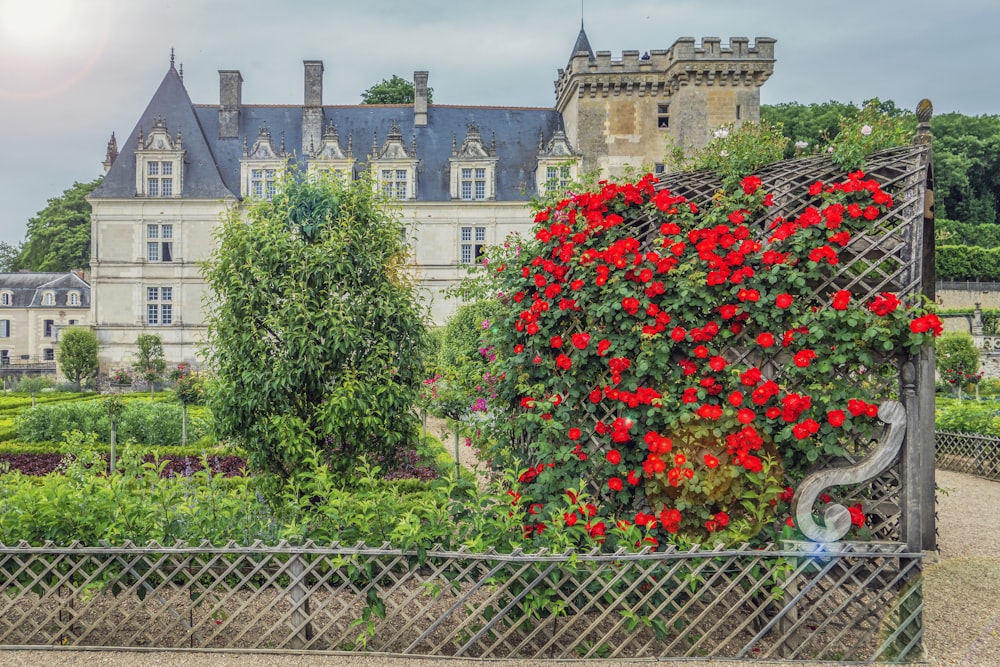 a large building with red flowers growing on it