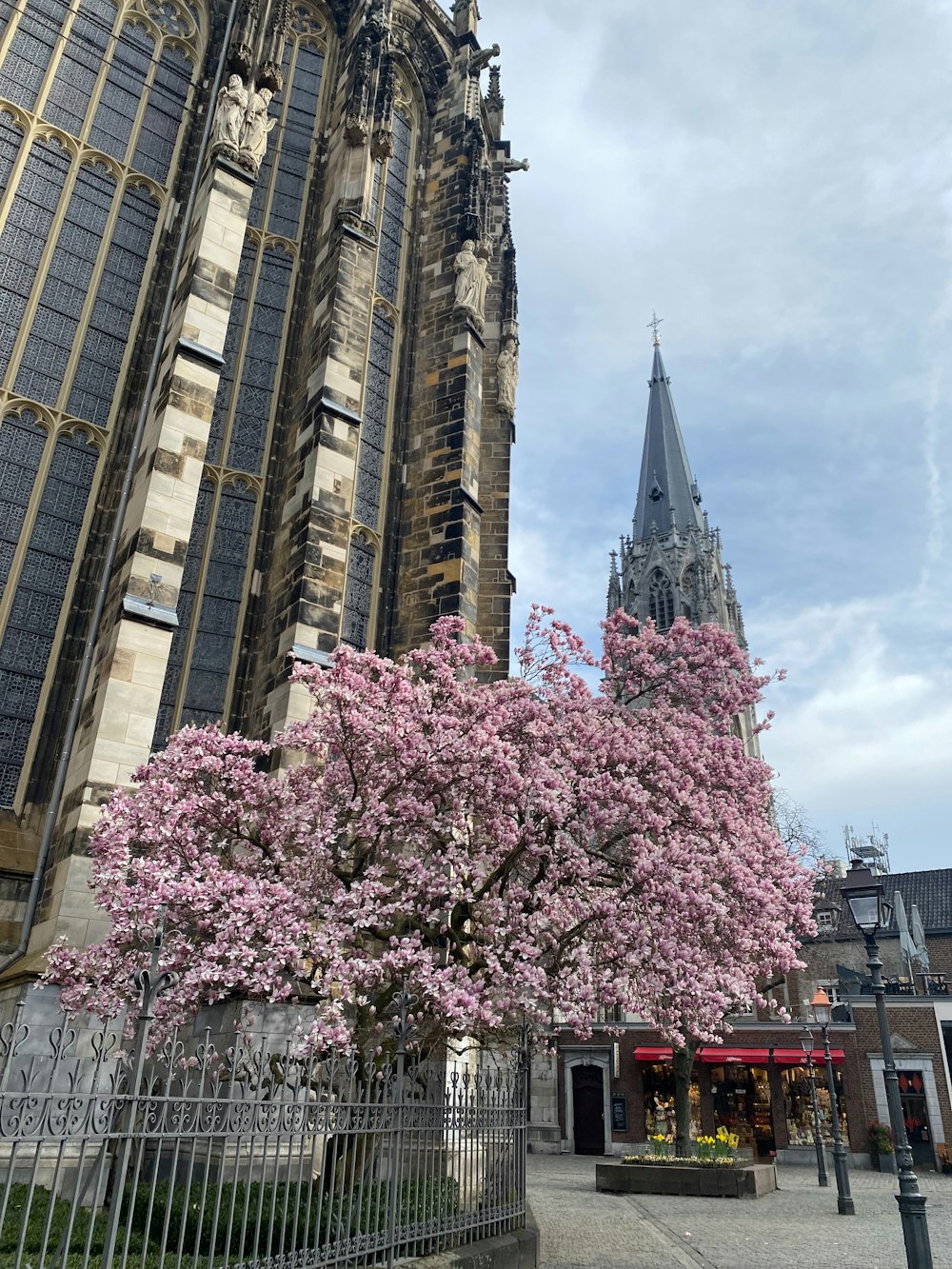 a tall building with a spire and a tree in front of it