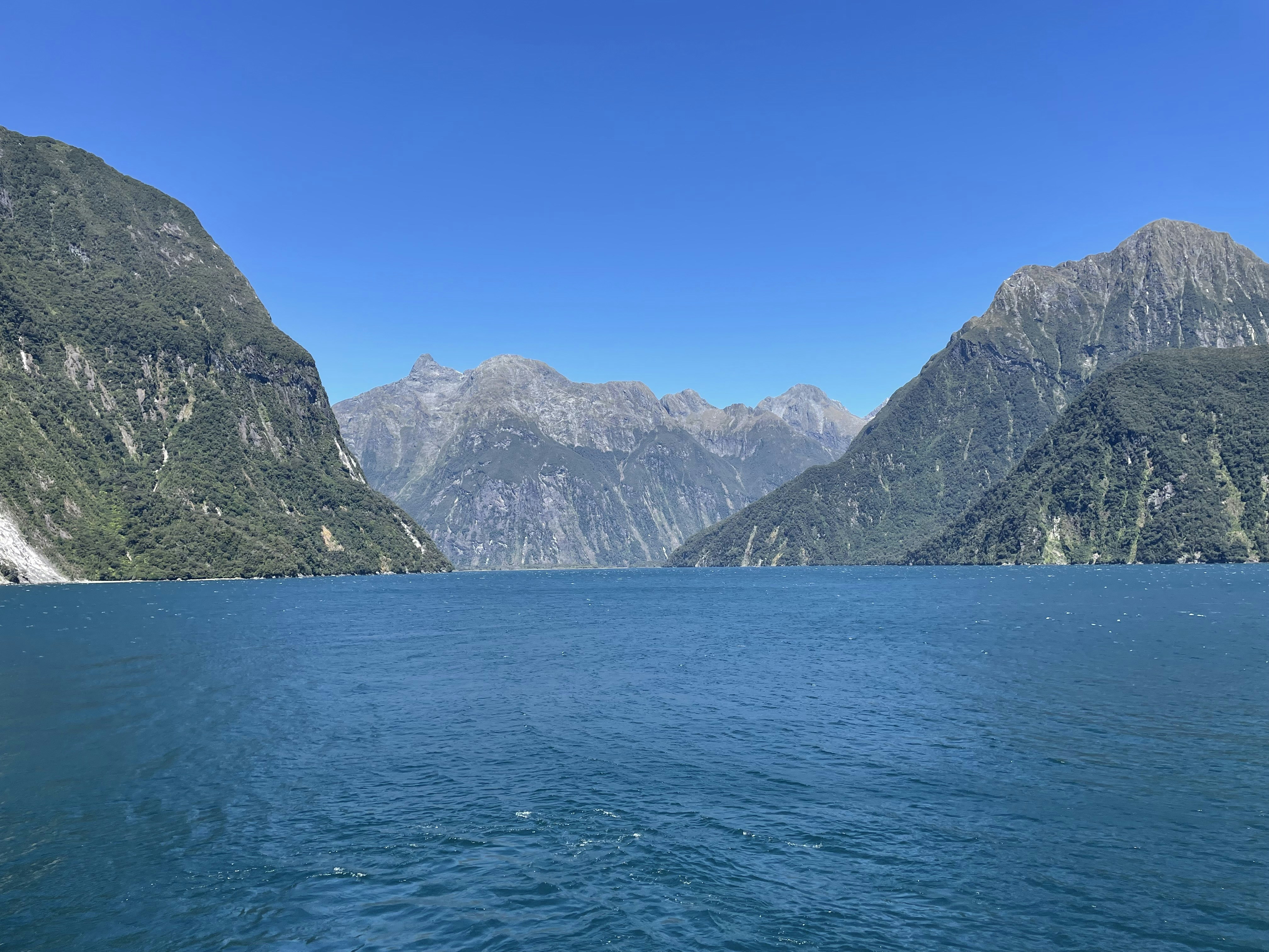 Photo by madisonbrightwell