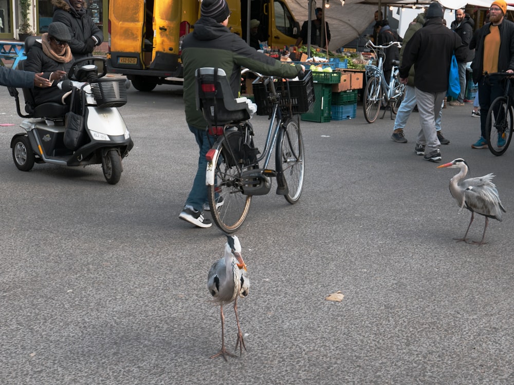un uccello in piedi accanto a una persona su una bicicletta