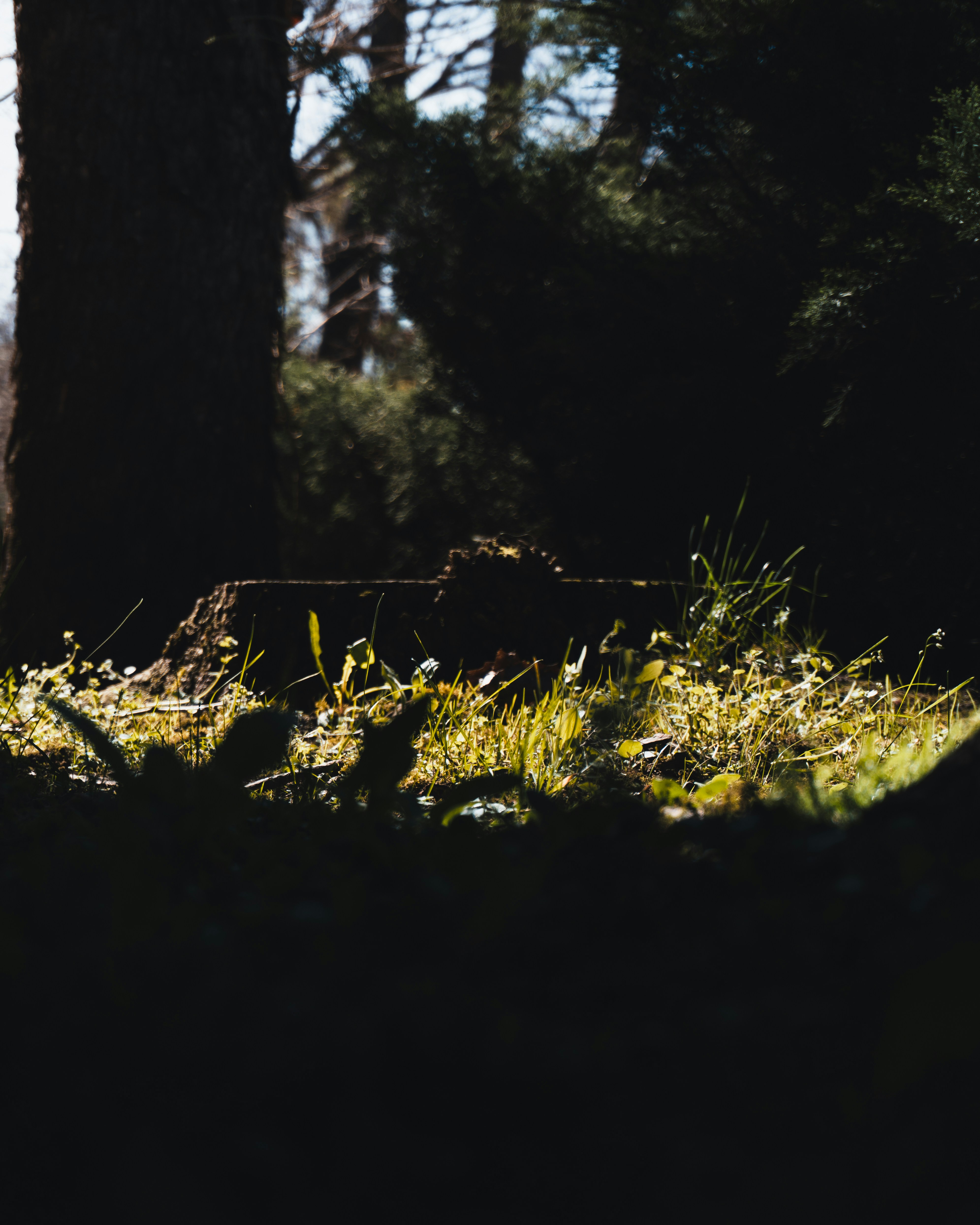 Photo by puskas_dominik