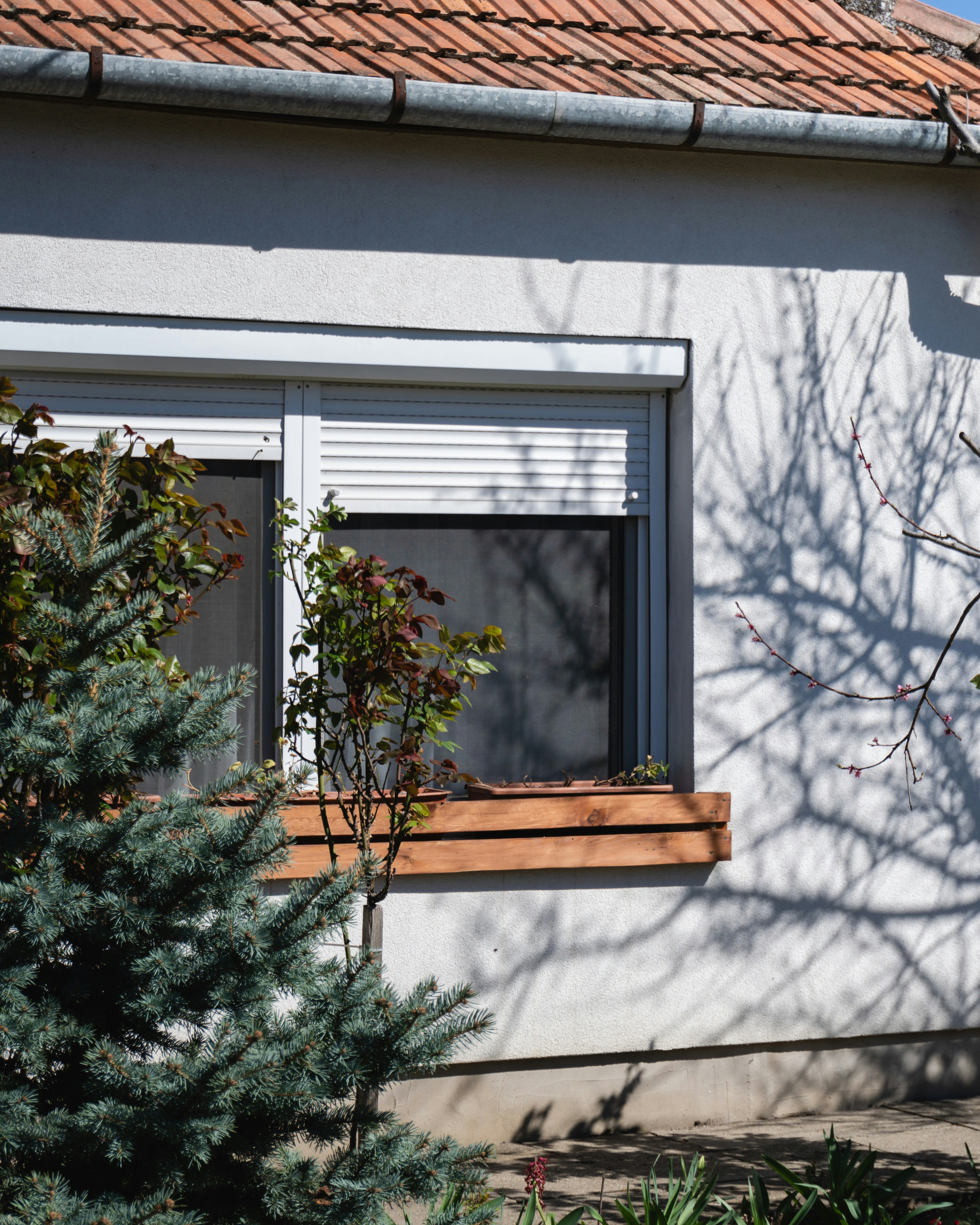 Photo by puskas_dominik