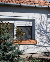 a house with a window and a tree in front of it