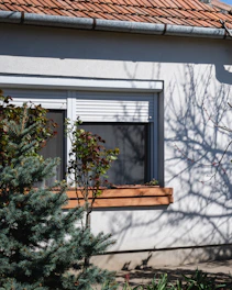 a house with a window and a tree in front of it