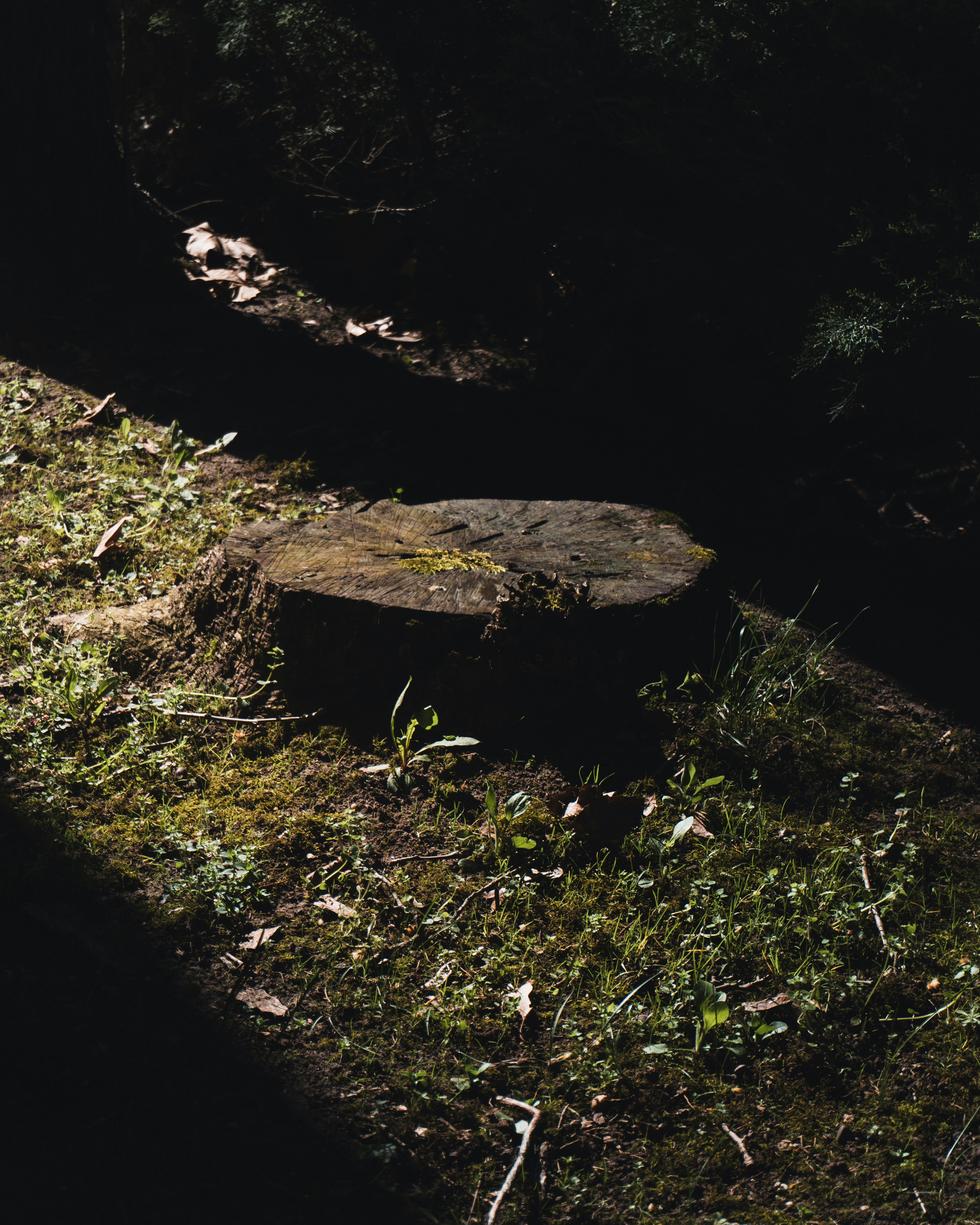 Photo by puskas_dominik