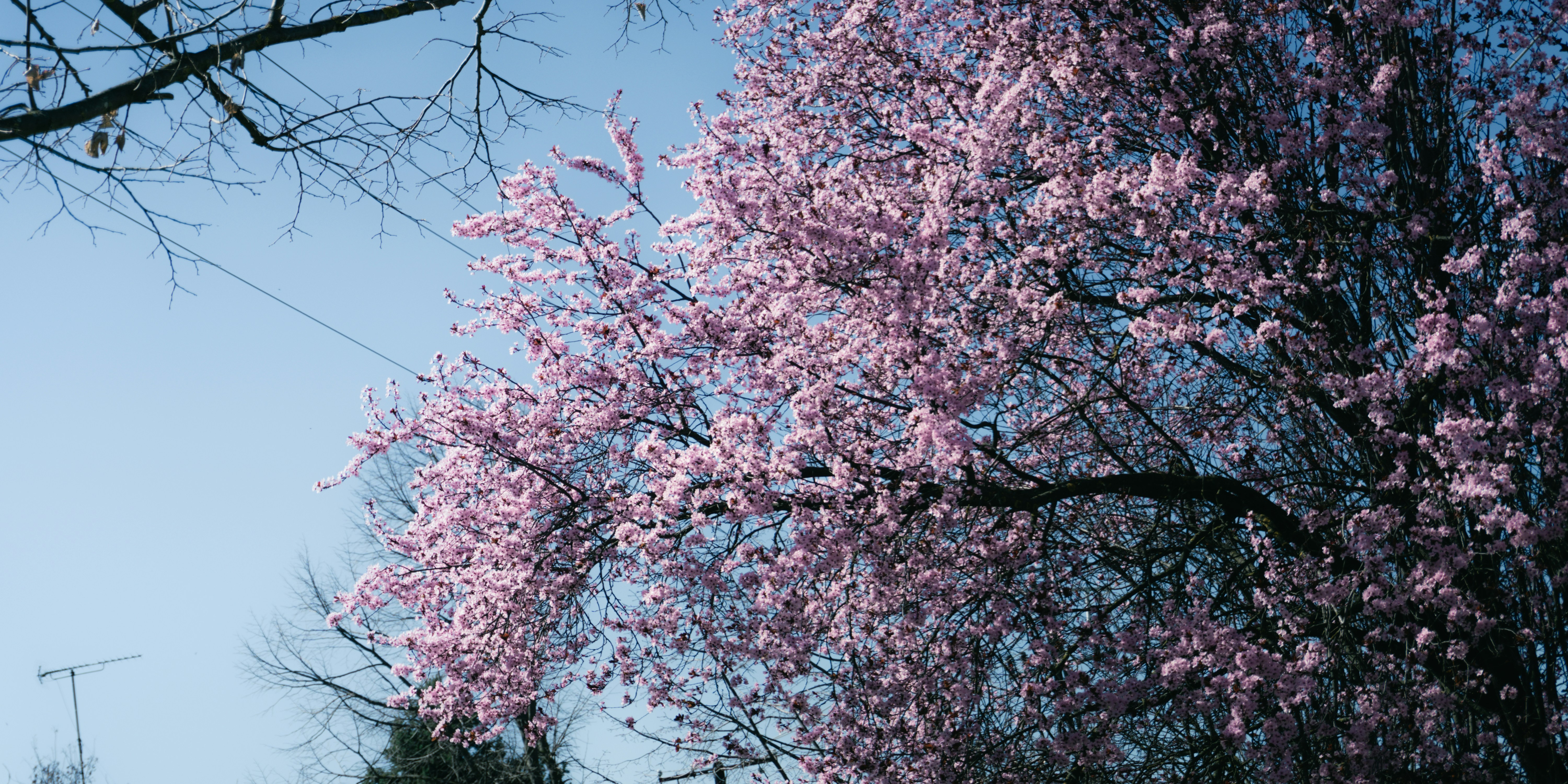 Photo by puskas_dominik