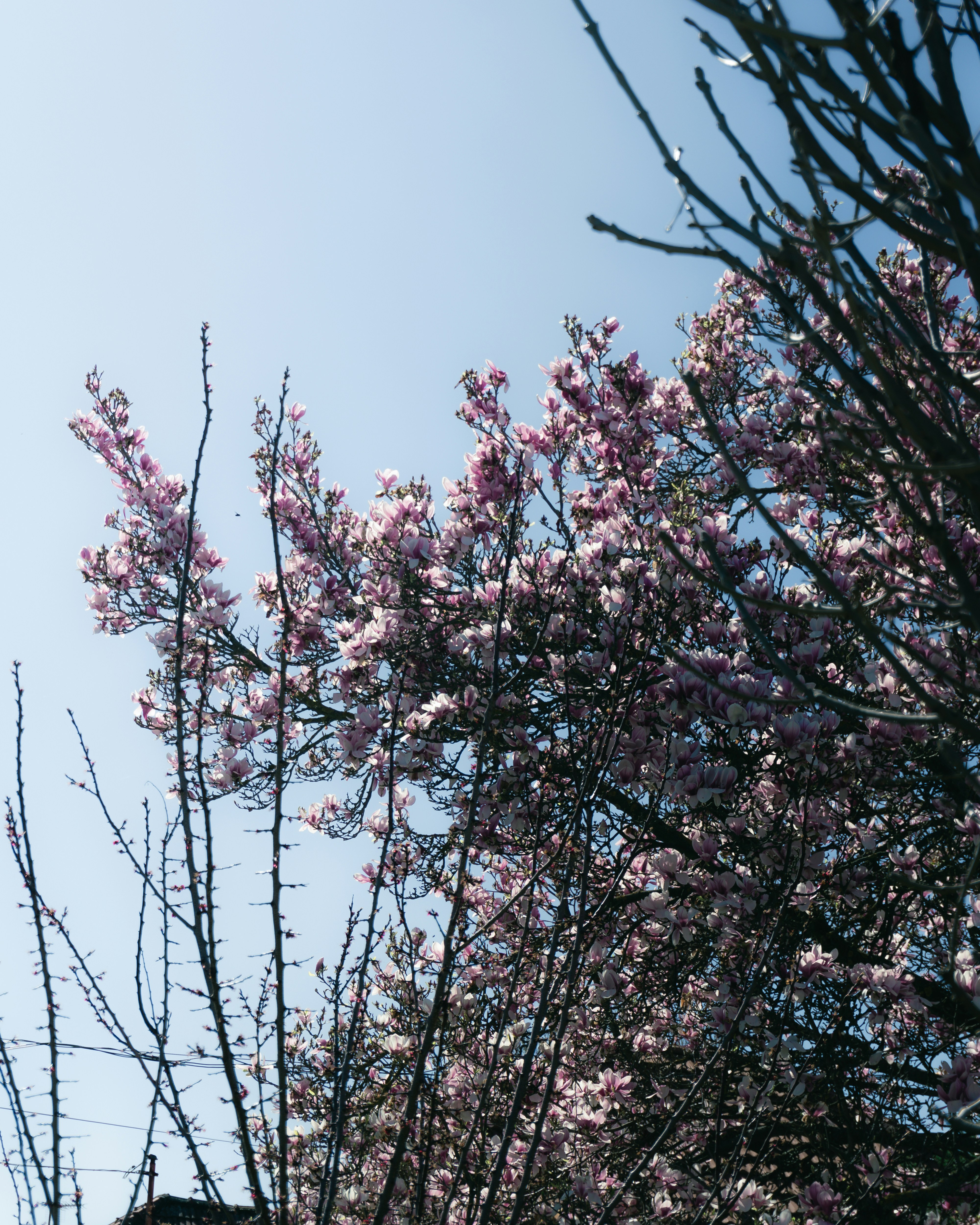 Photo by puskas_dominik