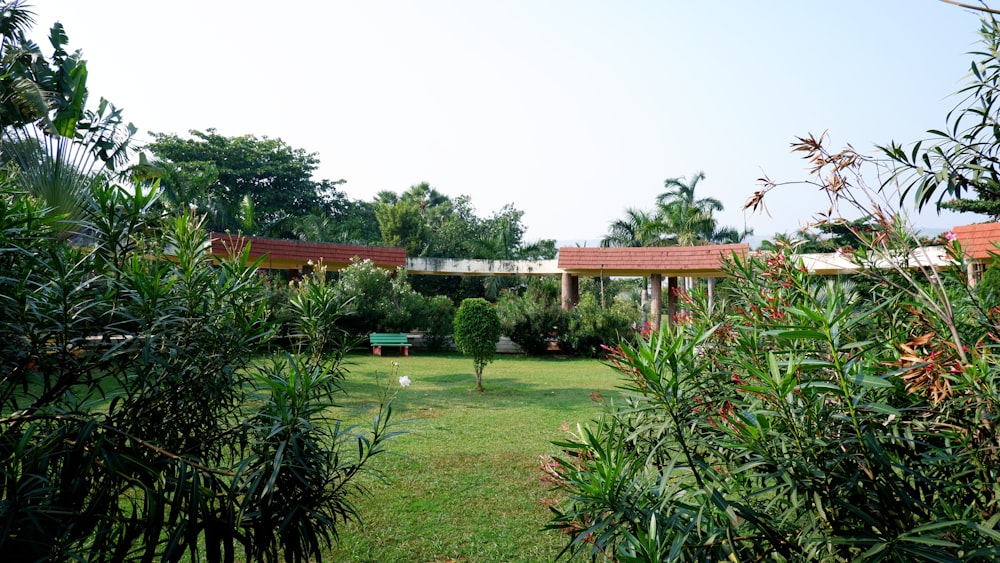 a lush green yard with a bench and trees