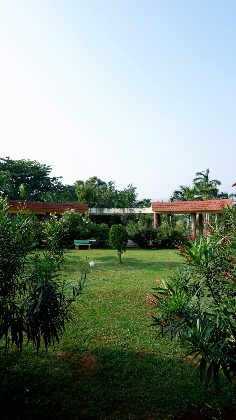 Una veduta di un cortile verde lussureggiante con un ponte sullo sfondo