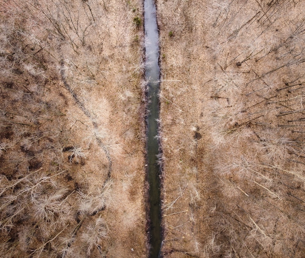 an aerial view of a river running through a forest