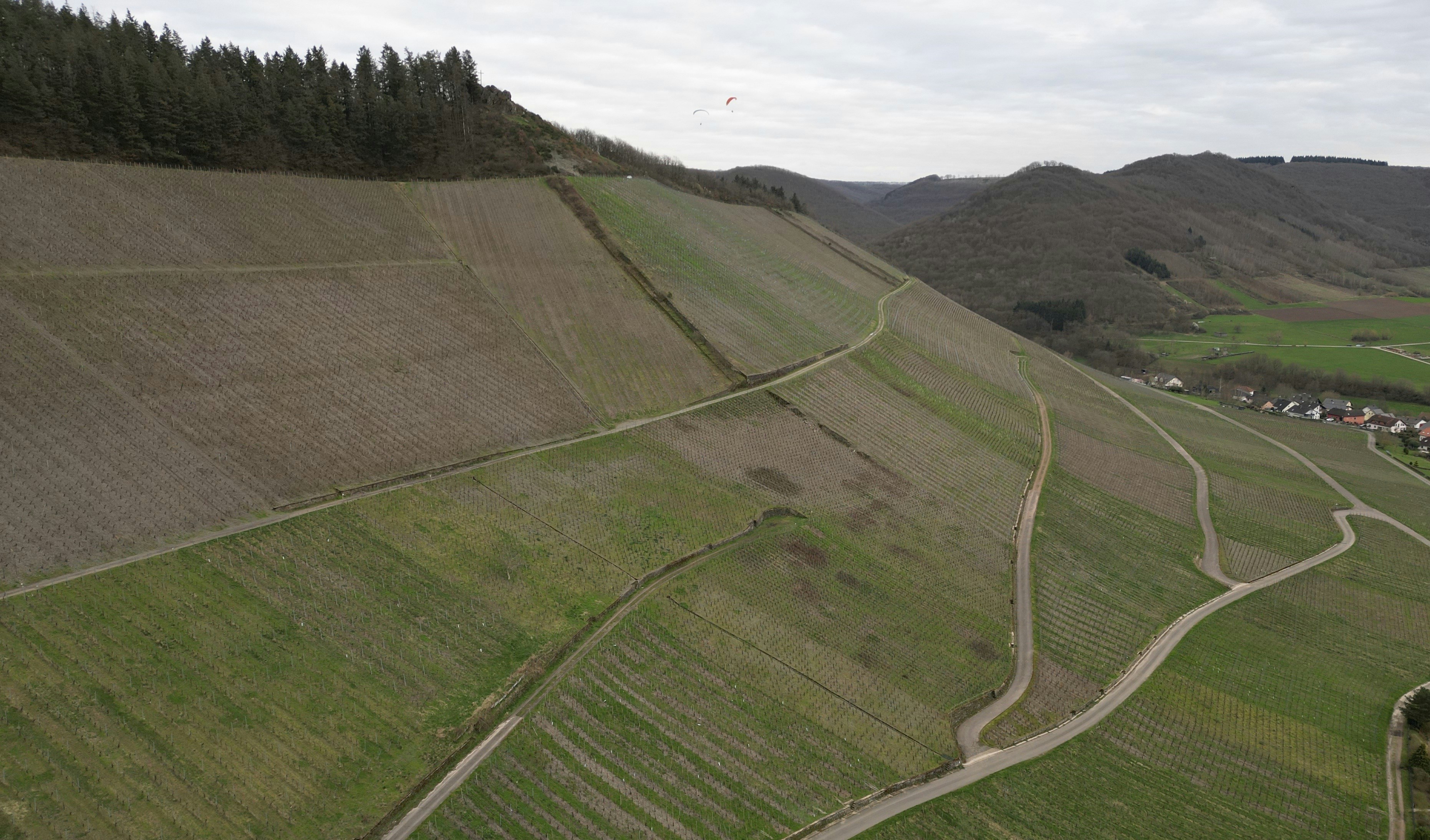 general related image for: Forbes Lists Top 50 Sustainability Leaders for 2025