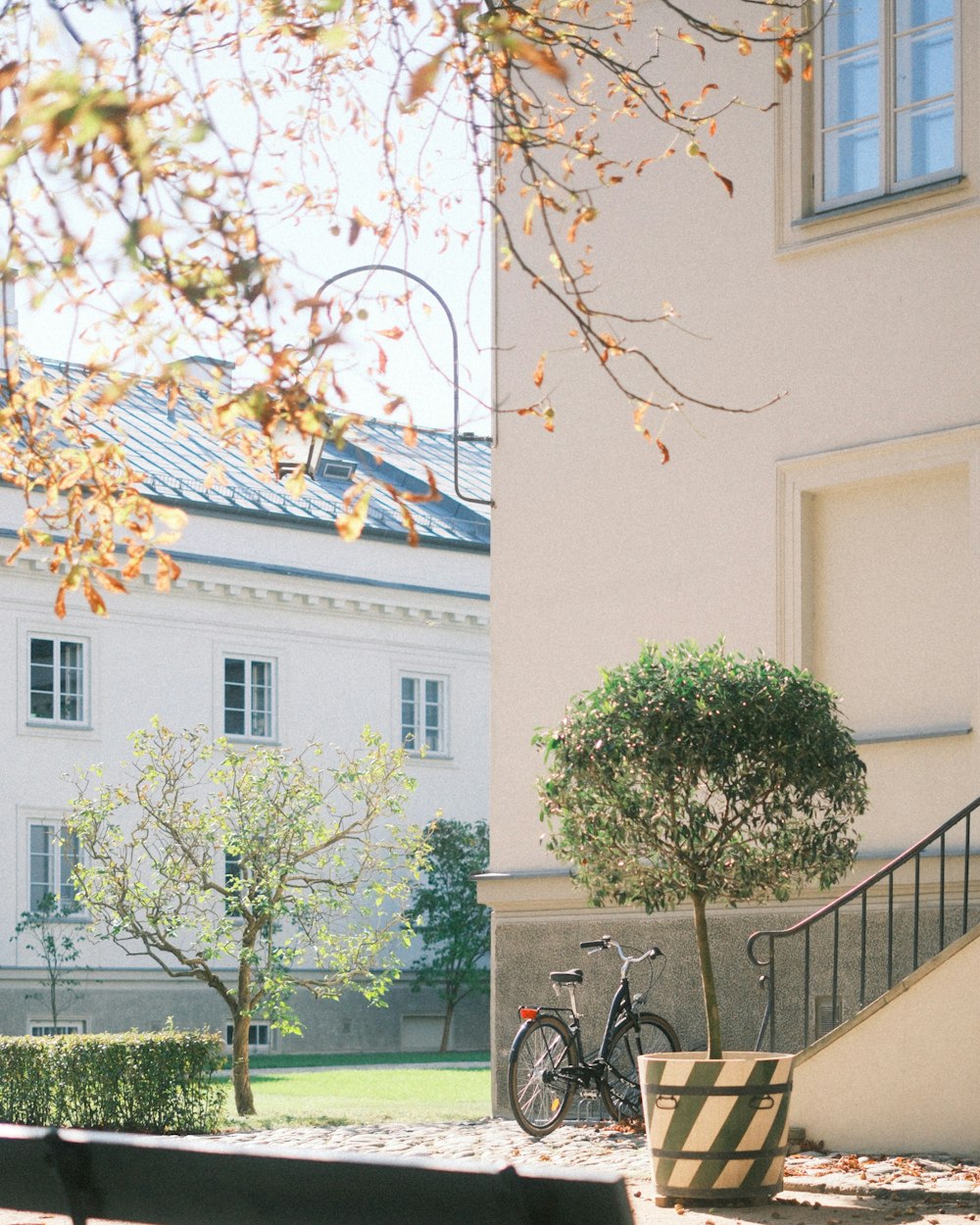 a bike parked next to a tree in front of a building