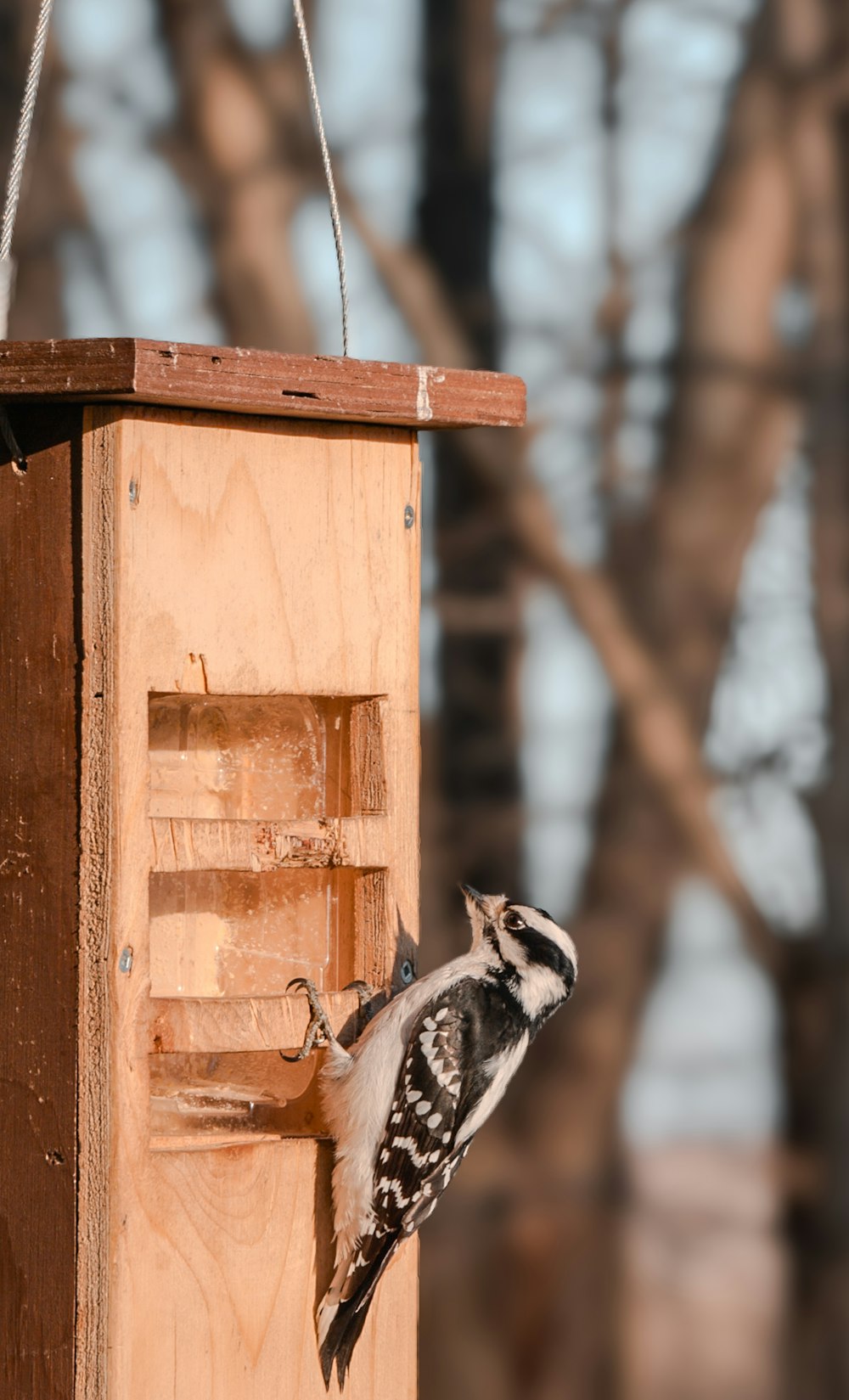 a bird that is standing on a bird feeder