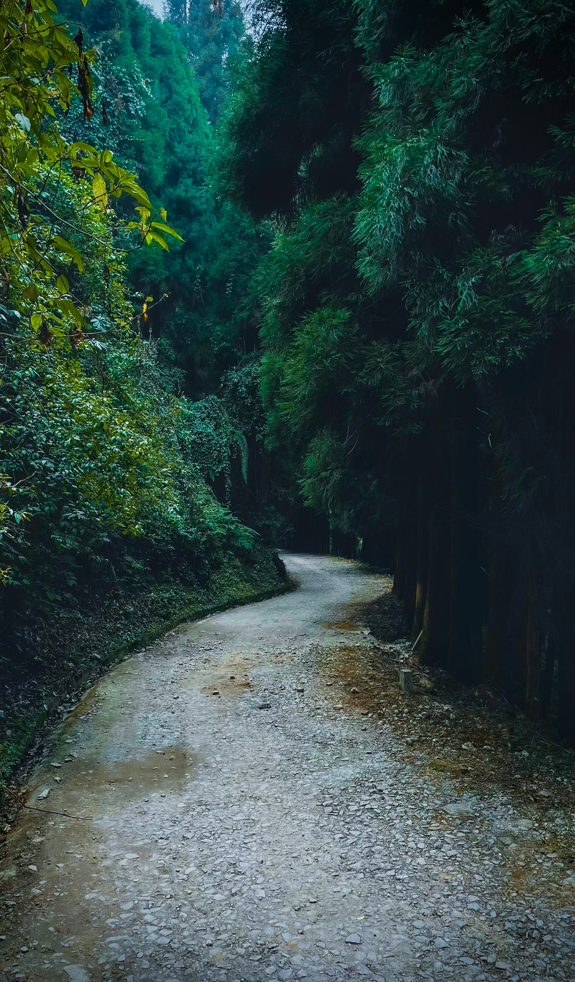 Photo by angshu_purkait