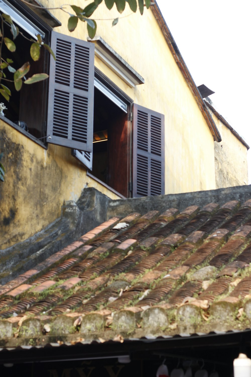 a bird perched on the roof of a building