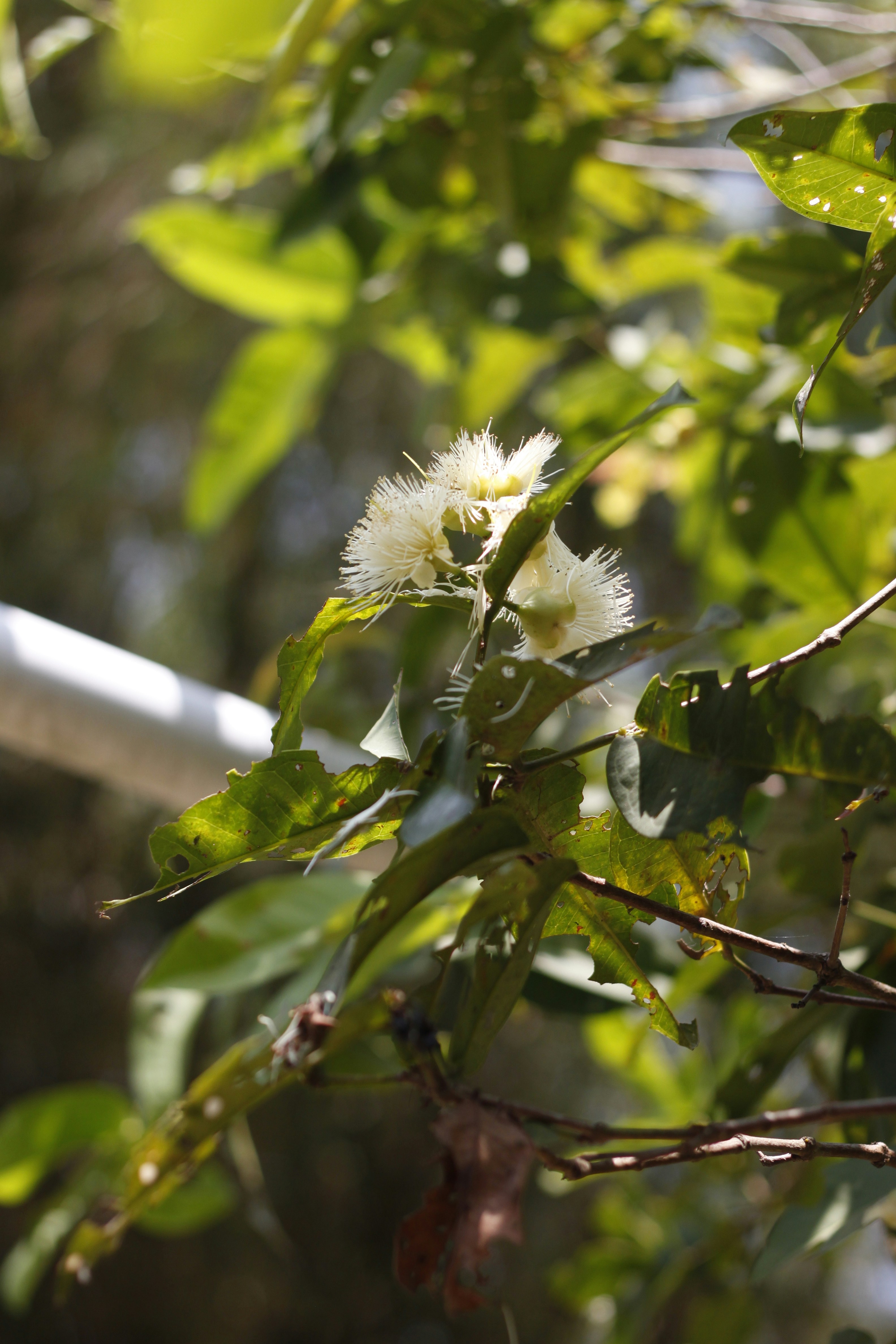 Photo by jtrinh_artwork