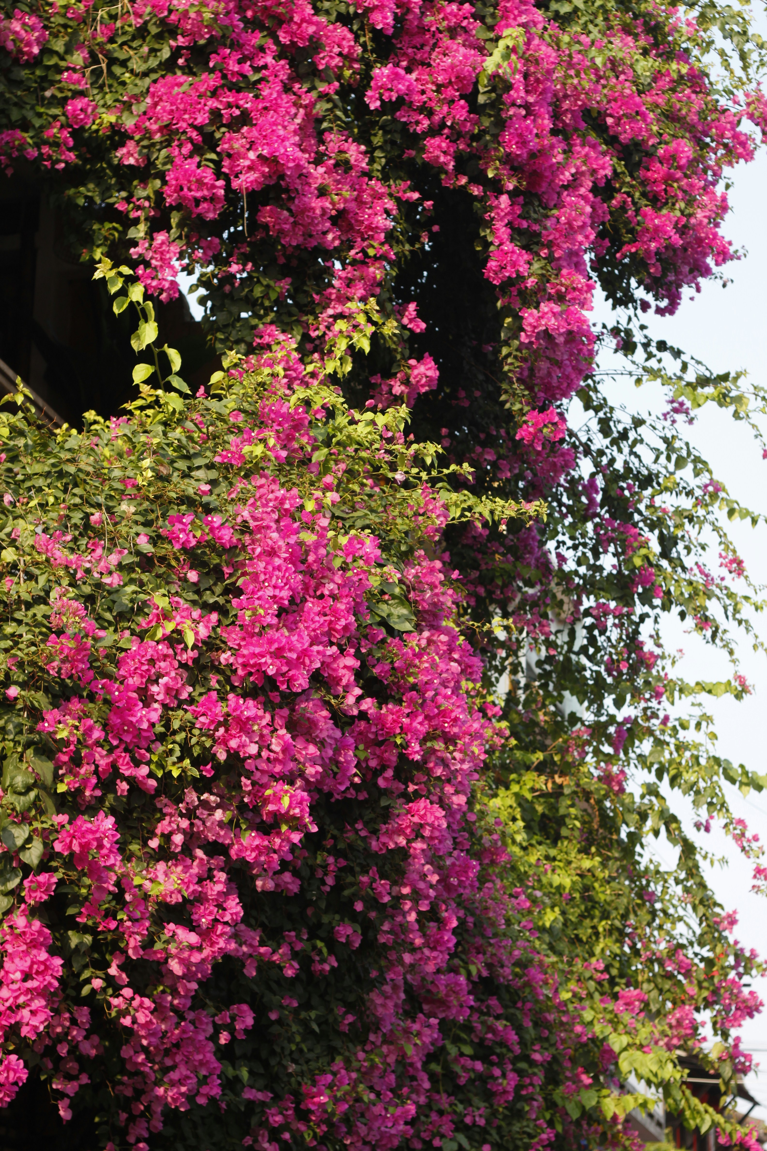 Photo by jtrinh_artwork