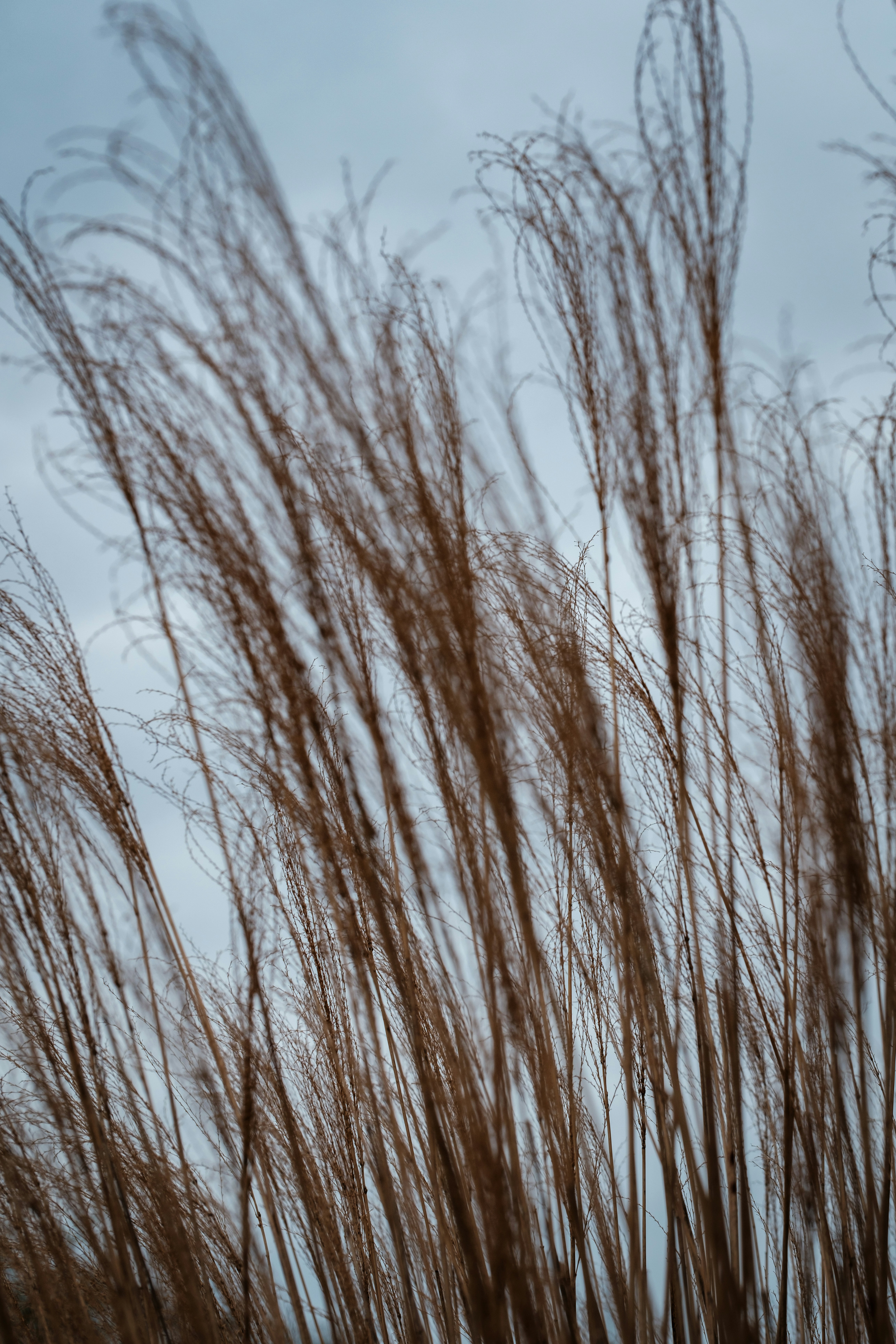 Photo by haberdoedas2