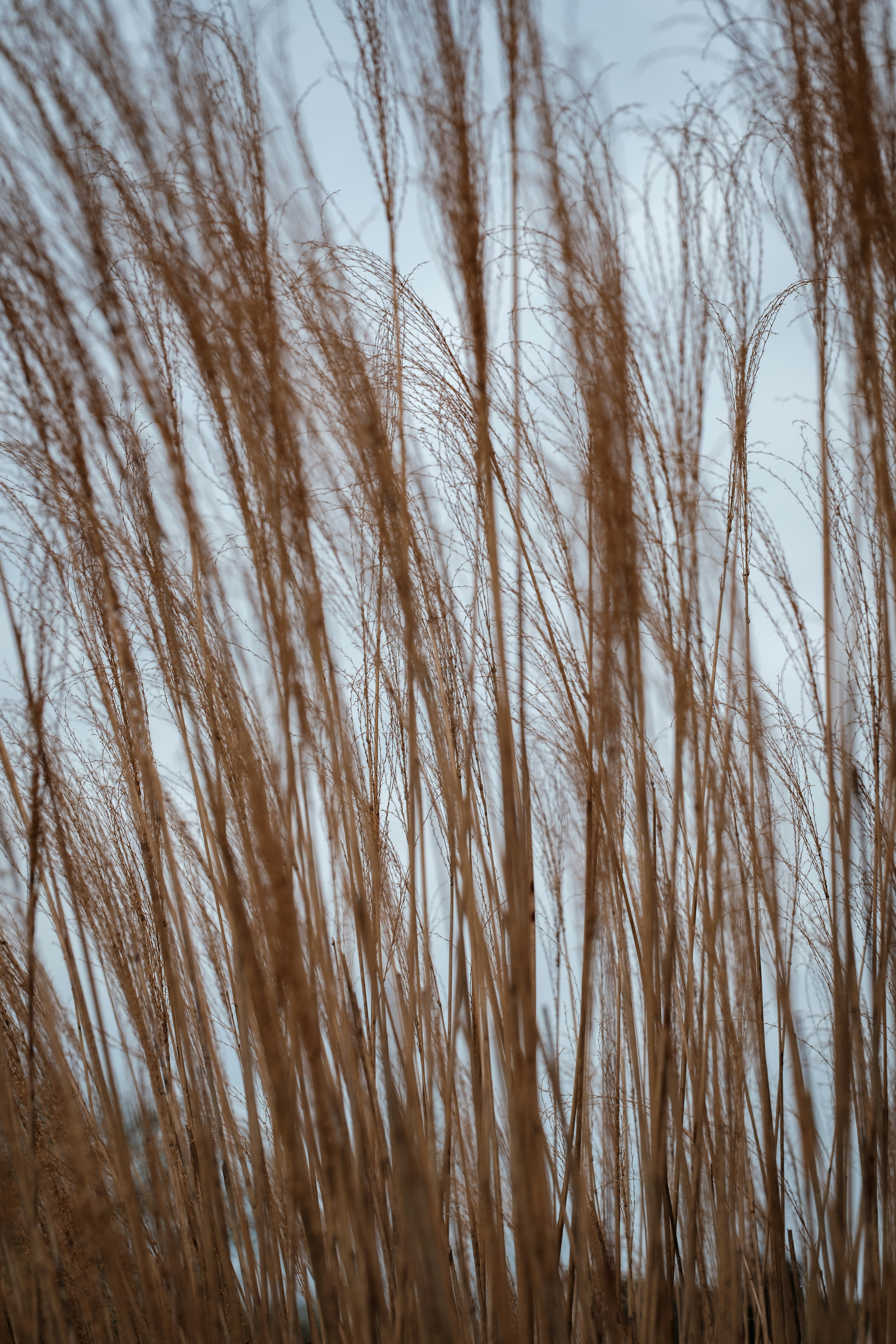 Photo by haberdoedas2