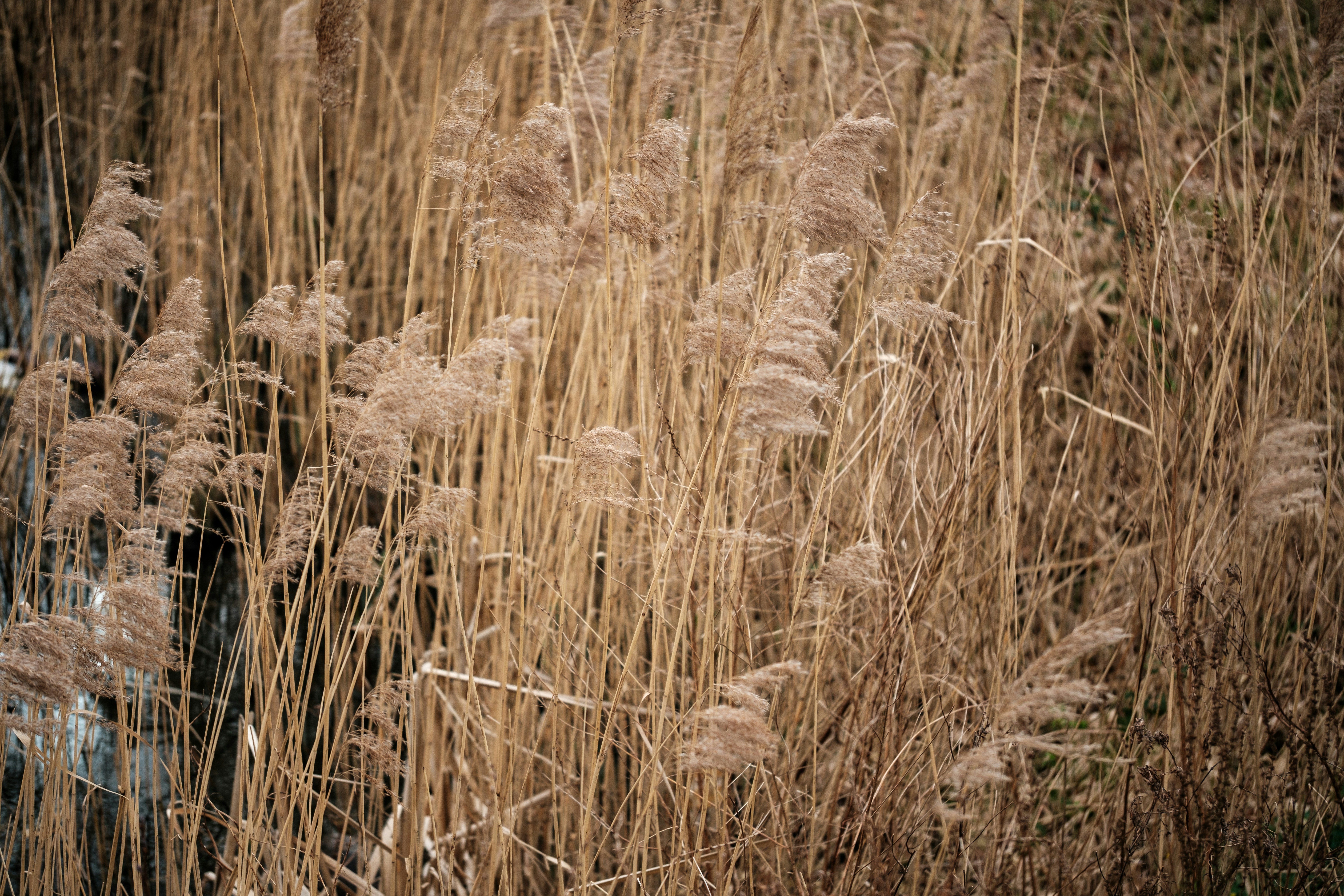 Photo by haberdoedas2