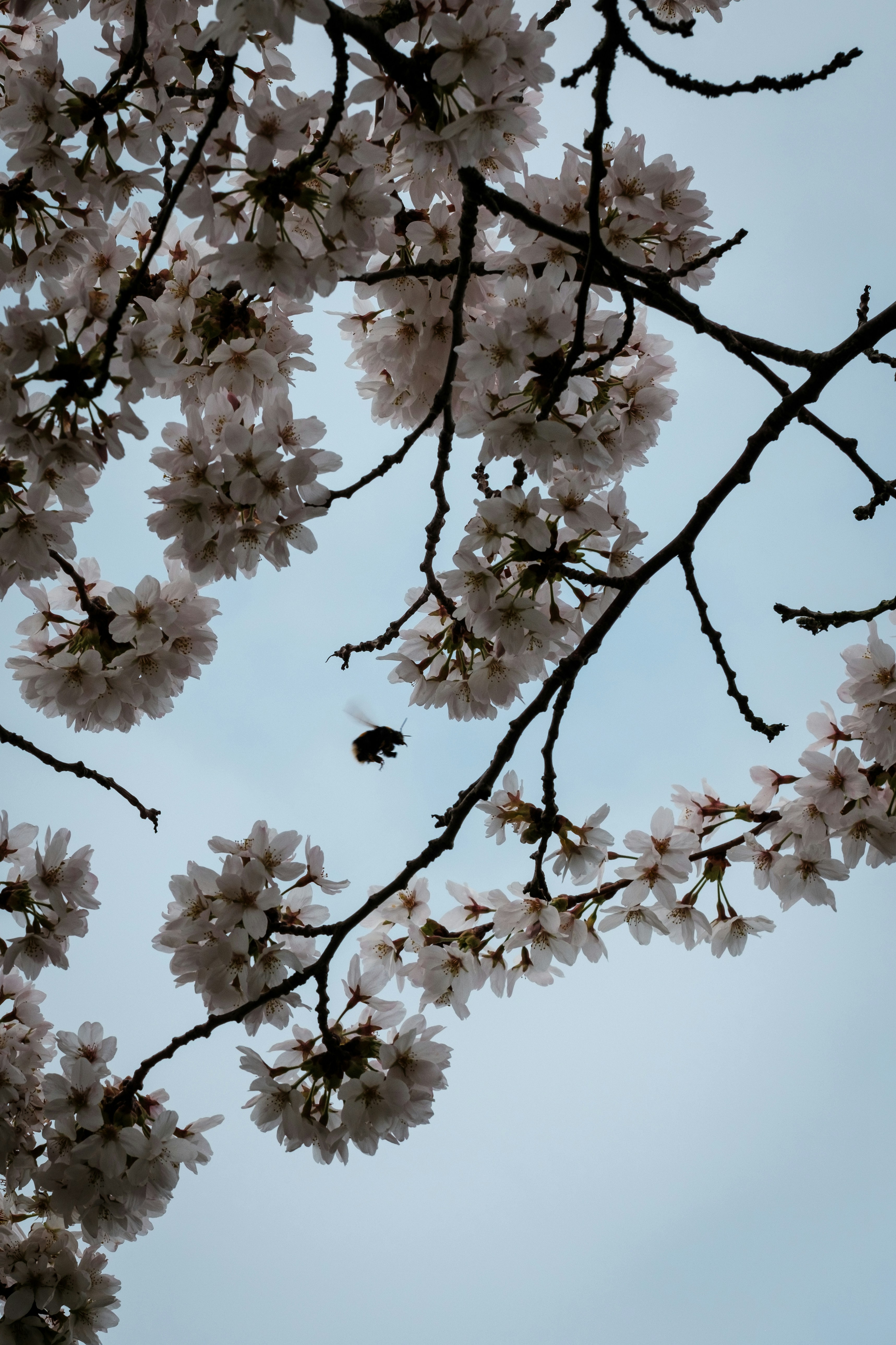 Photo by haberdoedas2