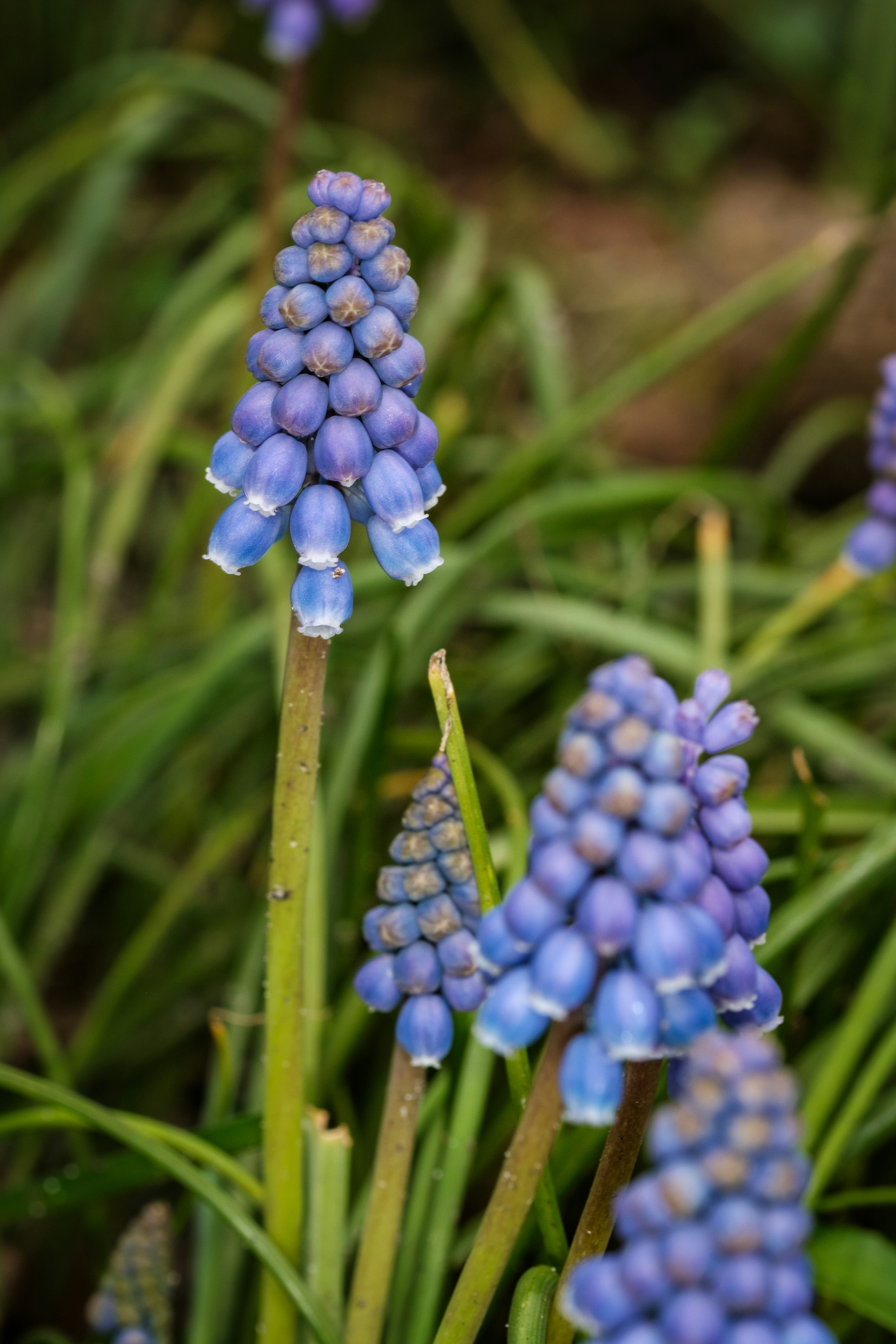 Photo by haberdoedas2