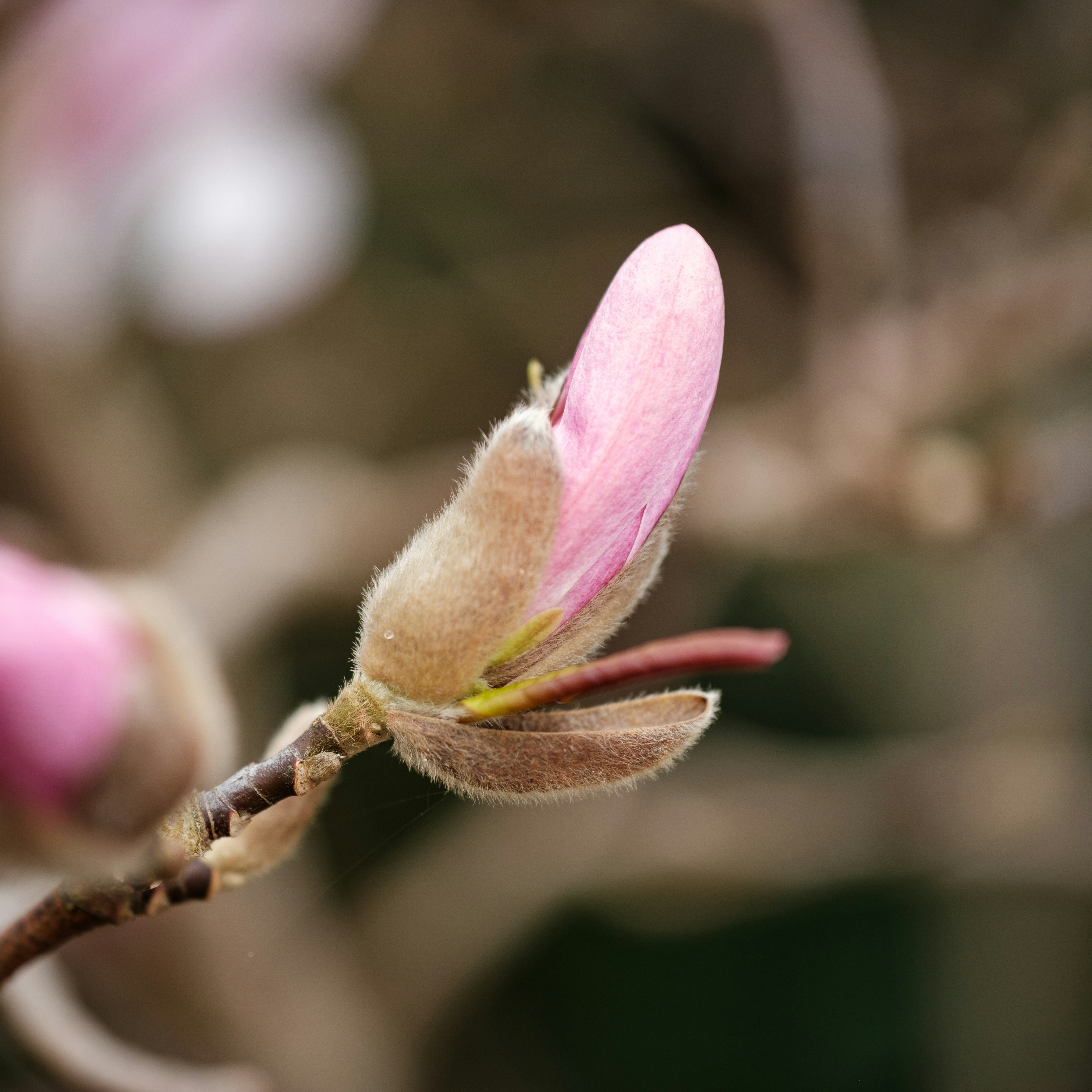 Photo by haberdoedas2