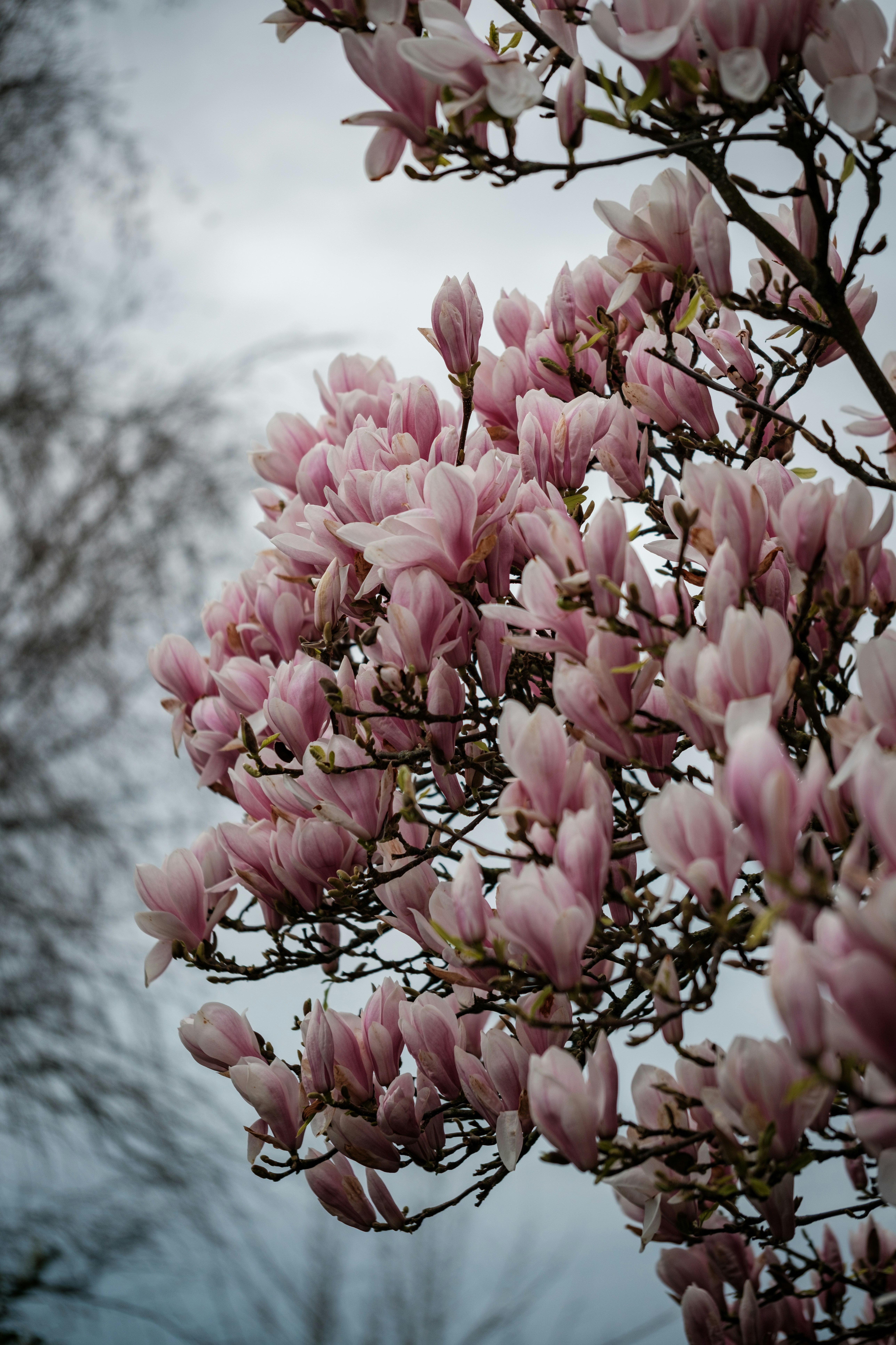 Photo by haberdoedas2