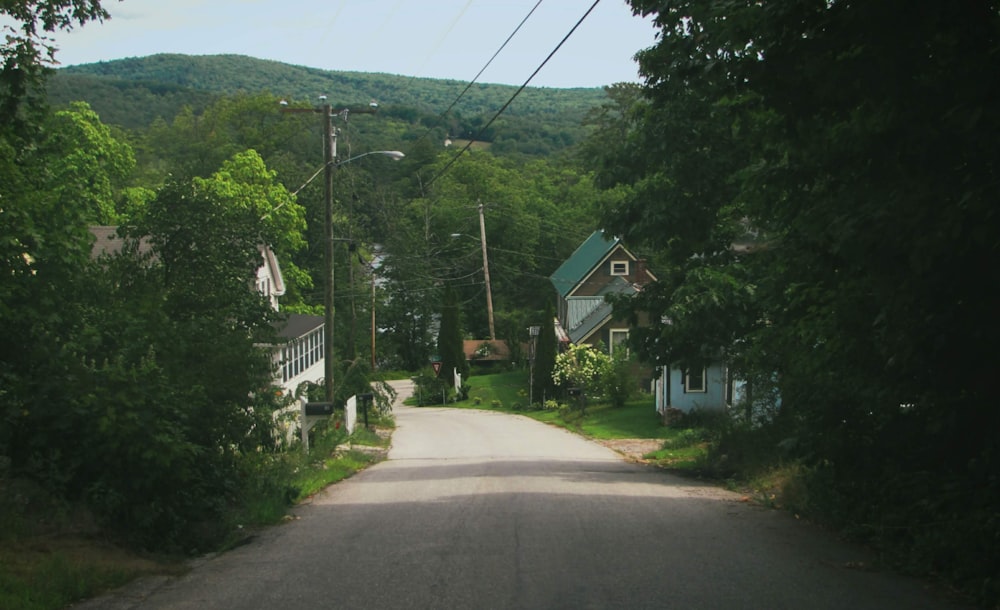 a street with houses and trees on both sides