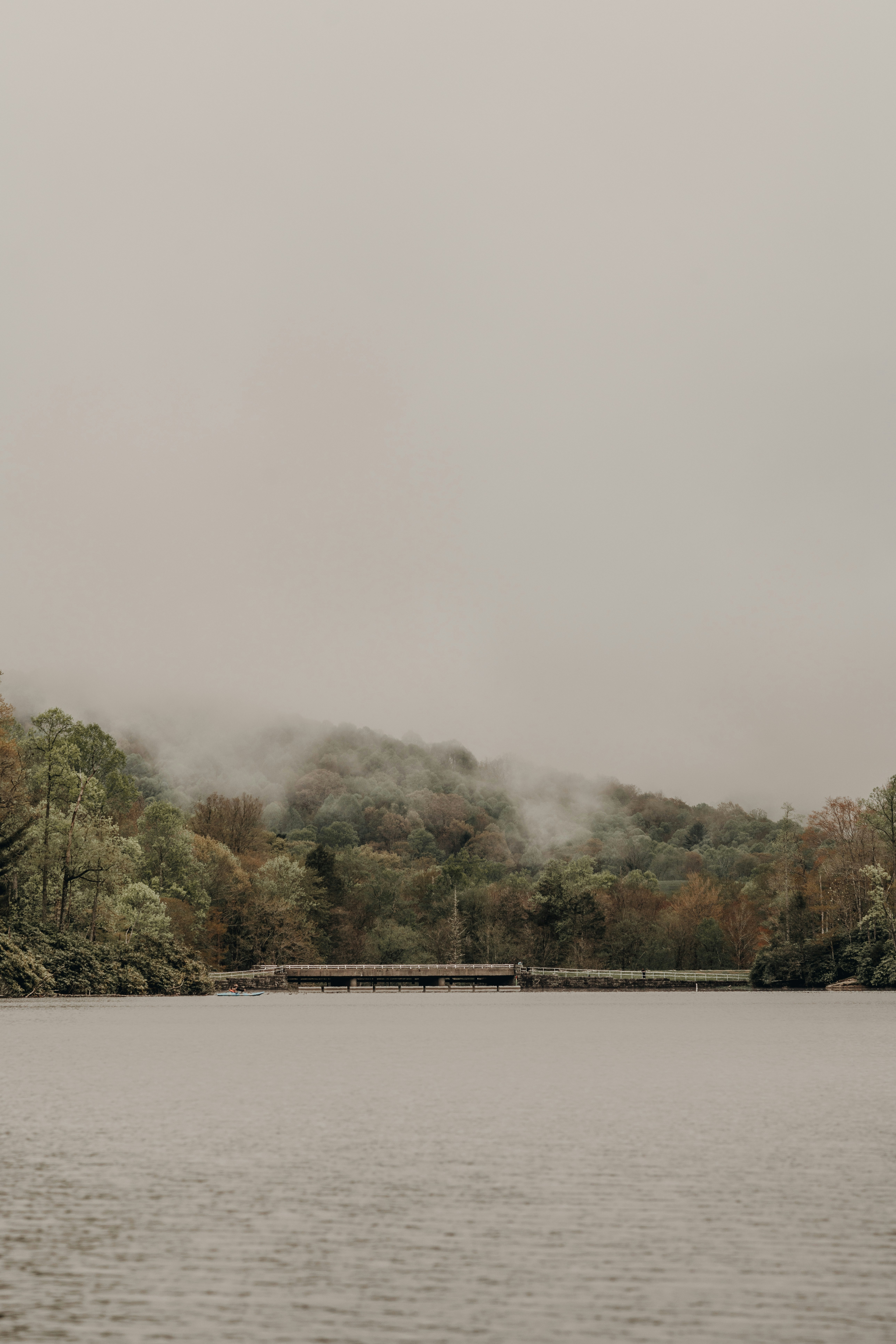 a large body of water surrounded by trees