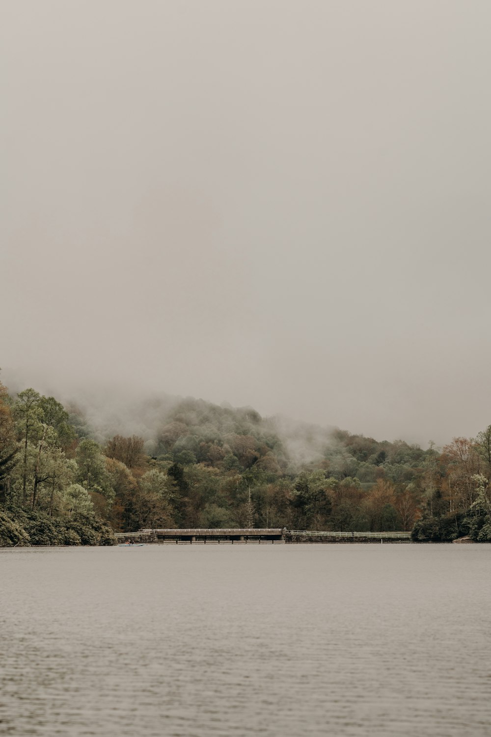 a large body of water surrounded by trees