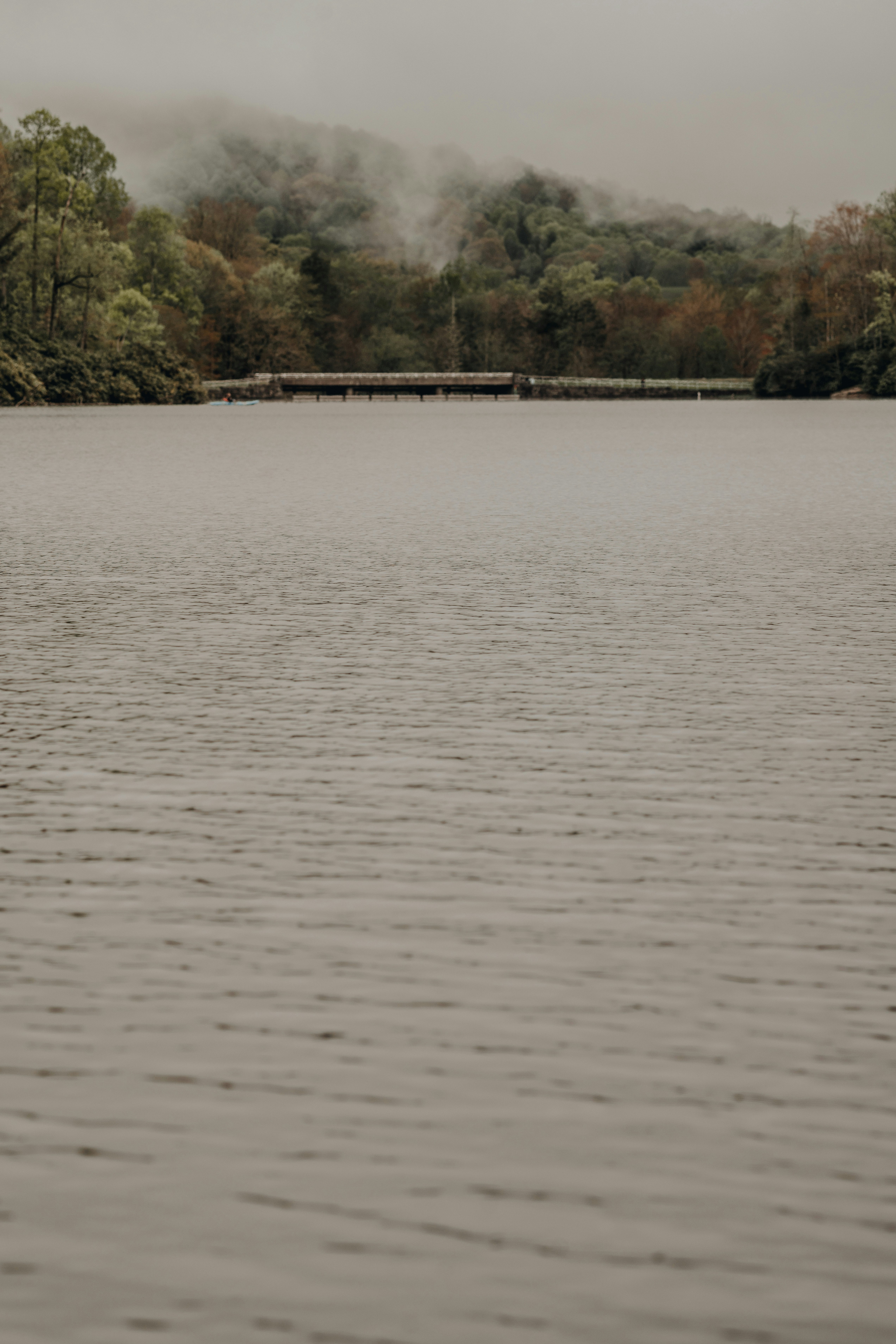 a body of water surrounded by trees and a bridge