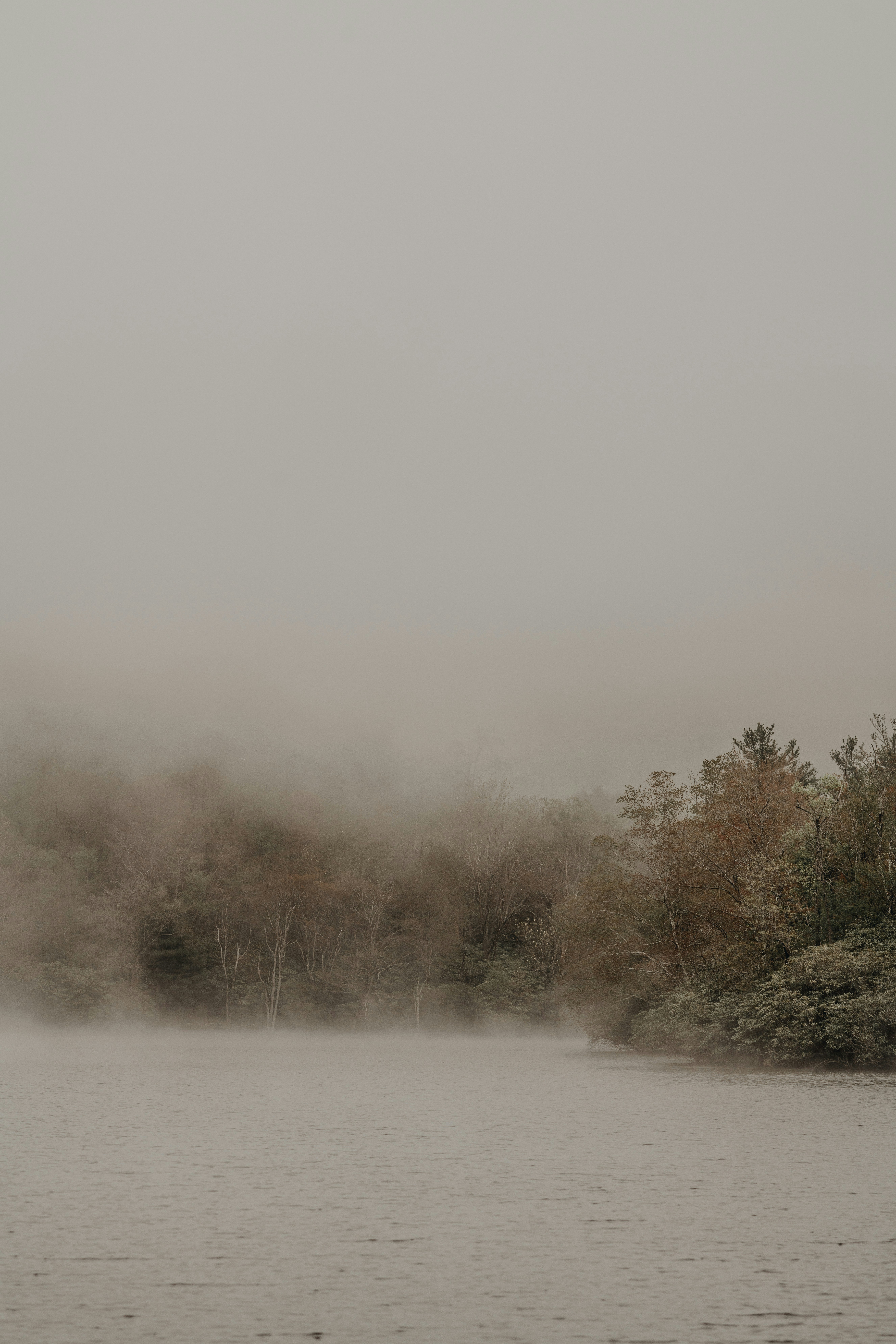 a body of water surrounded by trees and fog