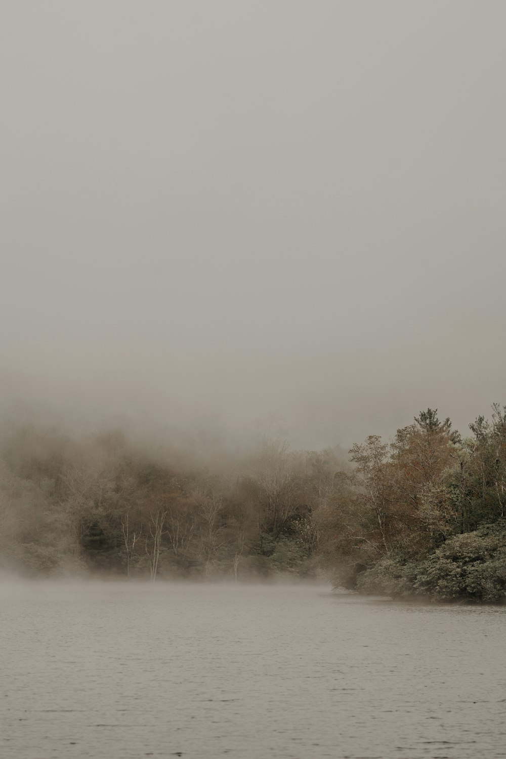 a body of water surrounded by trees and fog