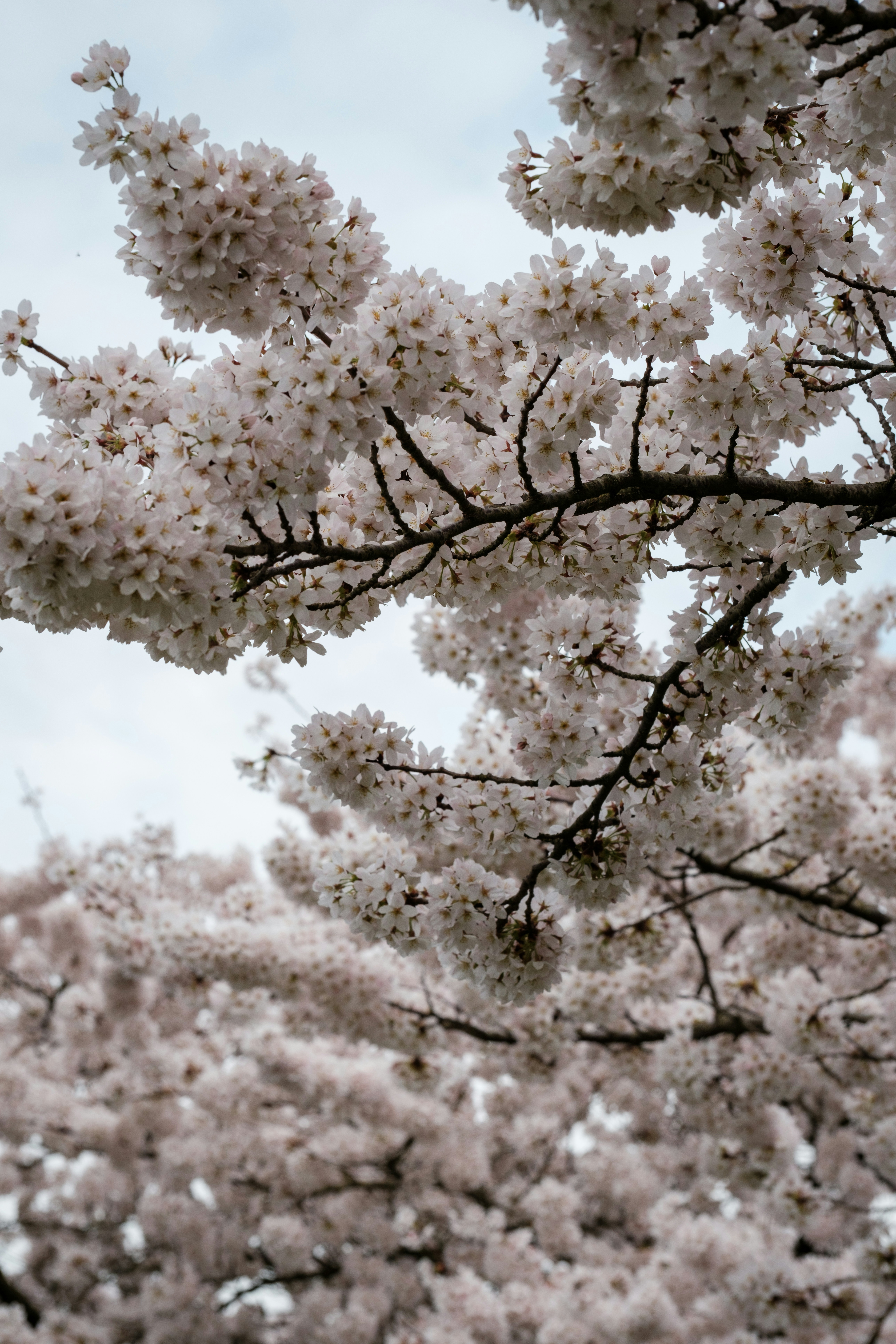 Photo by haberdoedas2