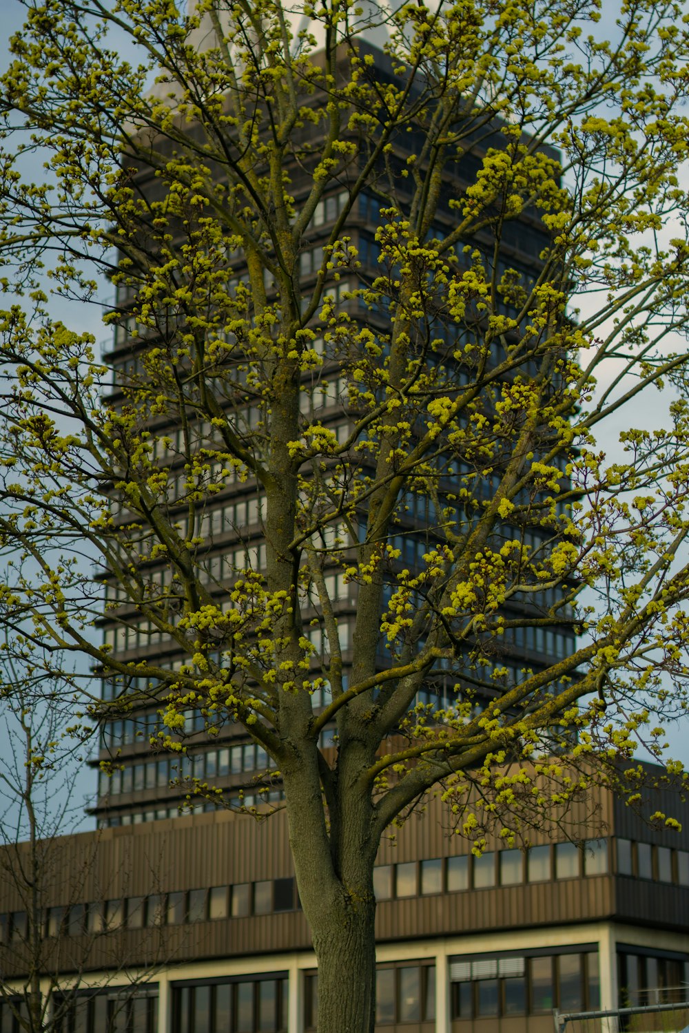 a tall building with a clock on the top of it