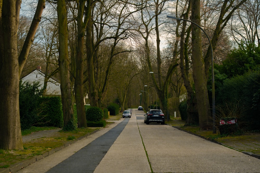 a car parked on the side of a road next to trees