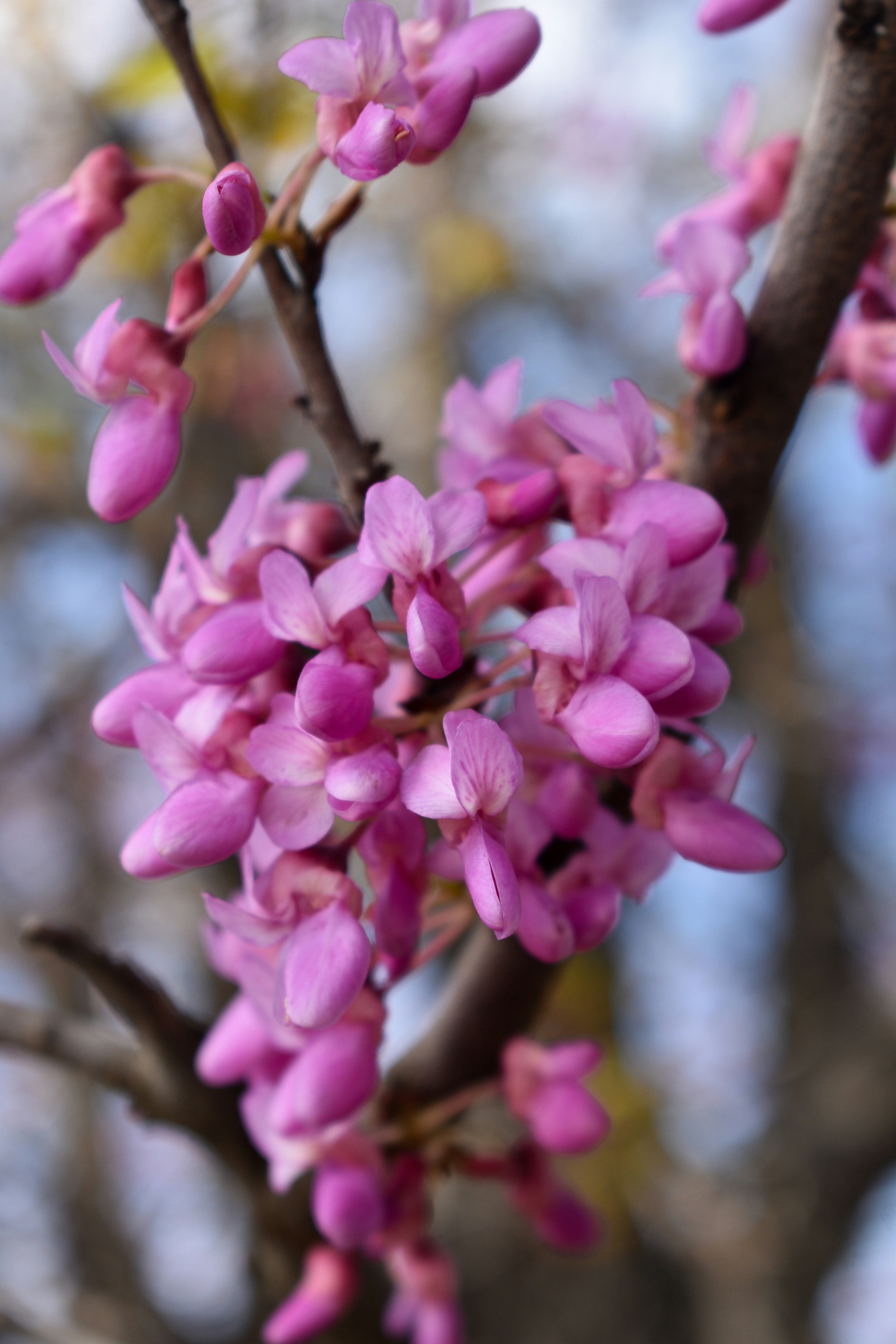 Photo by avrit_photo