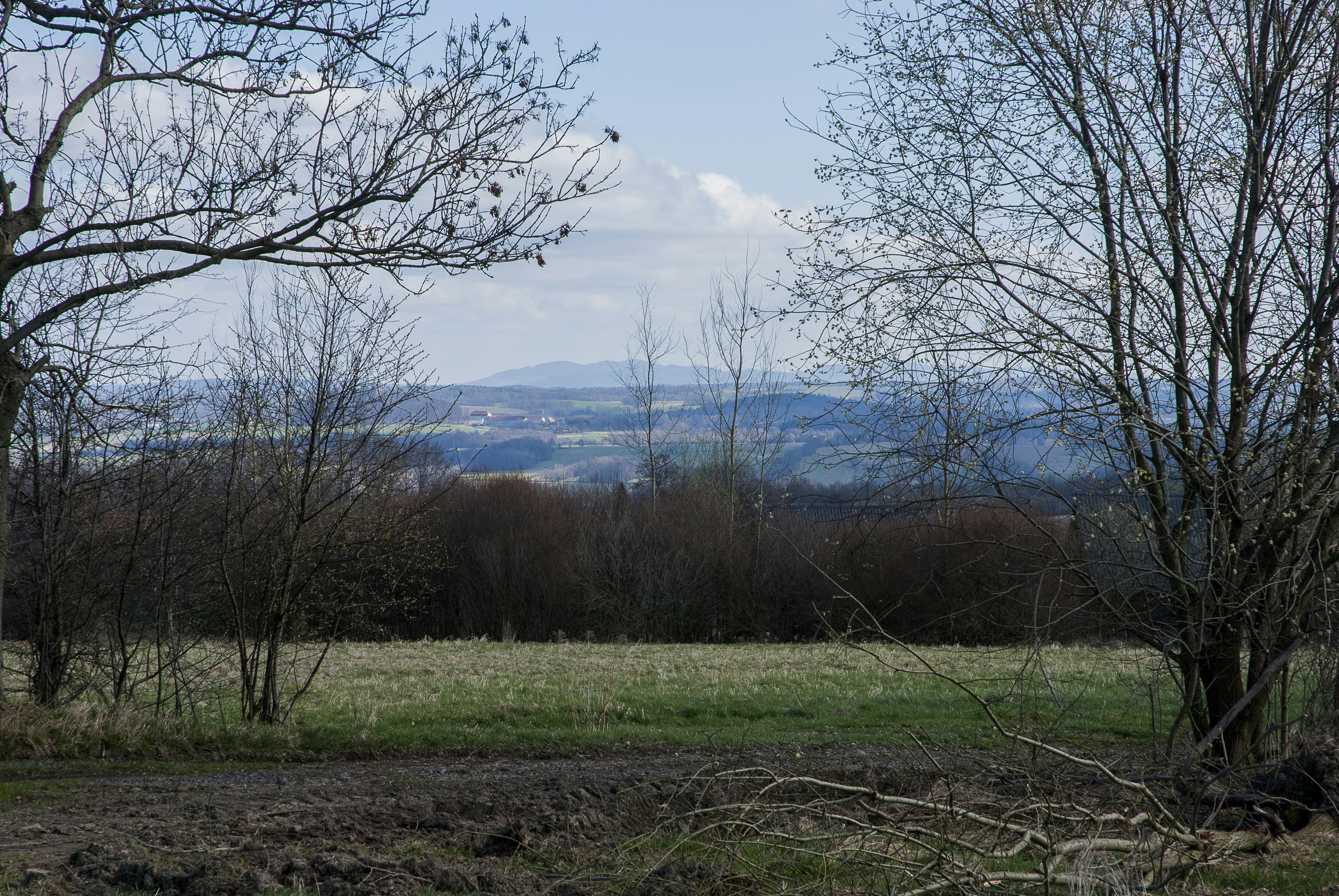 a field with trees and mountains in the background
