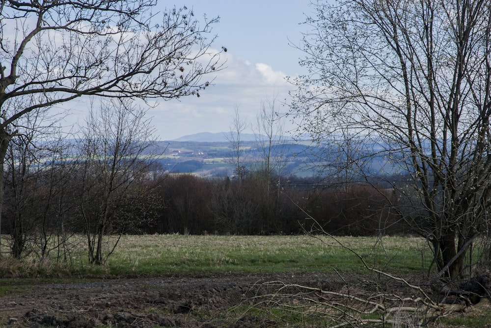 a field with trees and mountains in the background