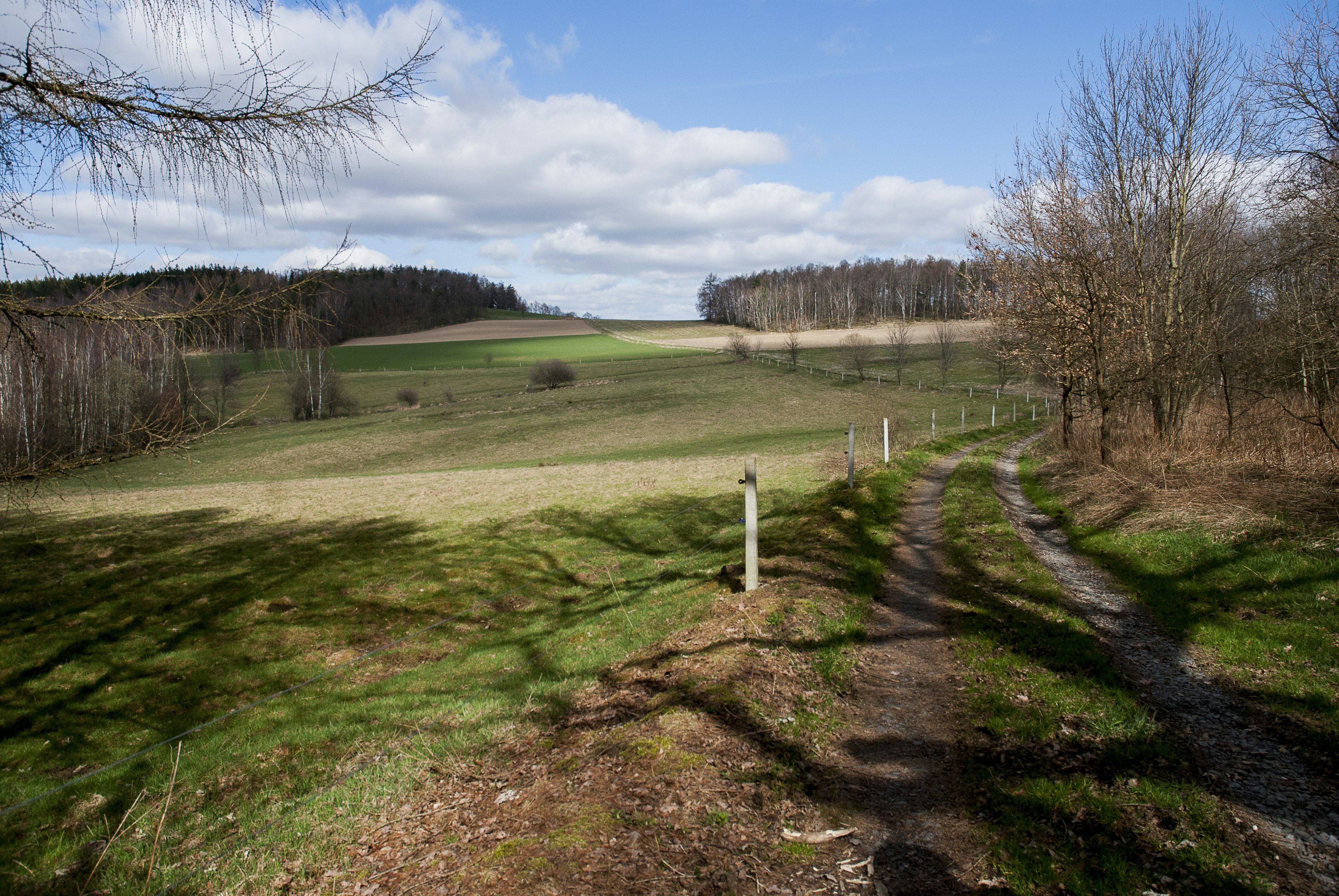 a grassy field with a dirt path in the middle of it