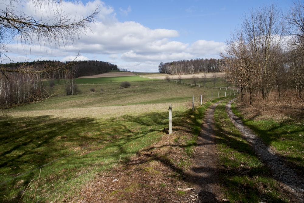 a grassy field with a dirt path in the middle of it