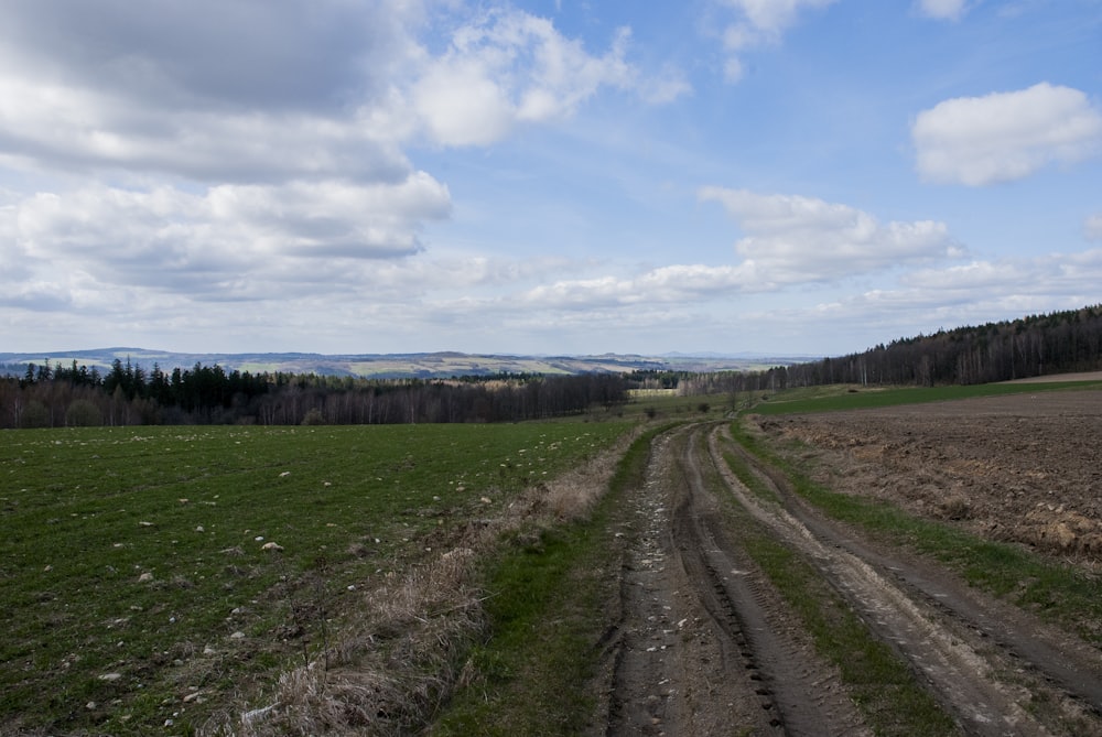 a dirt road going through a green field