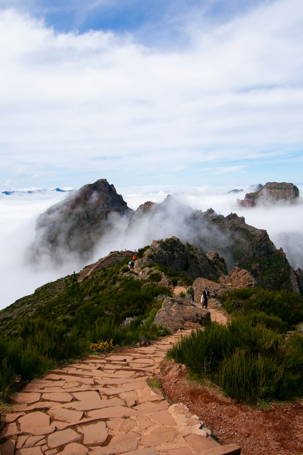 a path leading to the top of a mountain