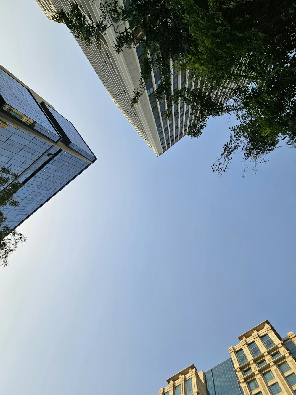 looking up at tall buildings in a city