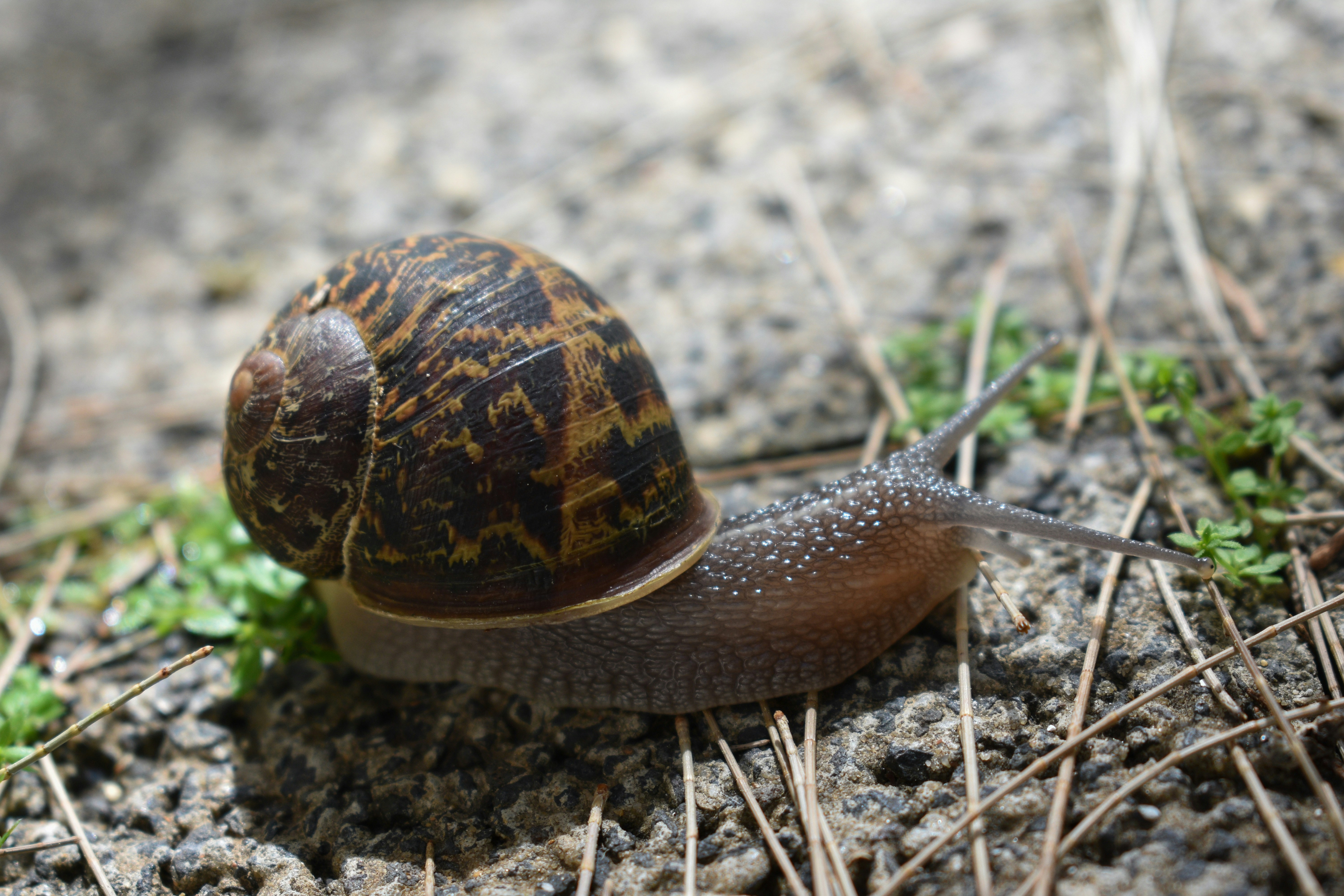 Photo by avrit_photo