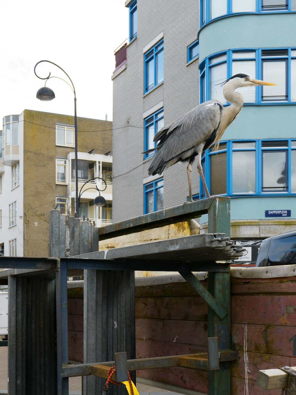 un grand oiseau debout au sommet d’une structure en bois