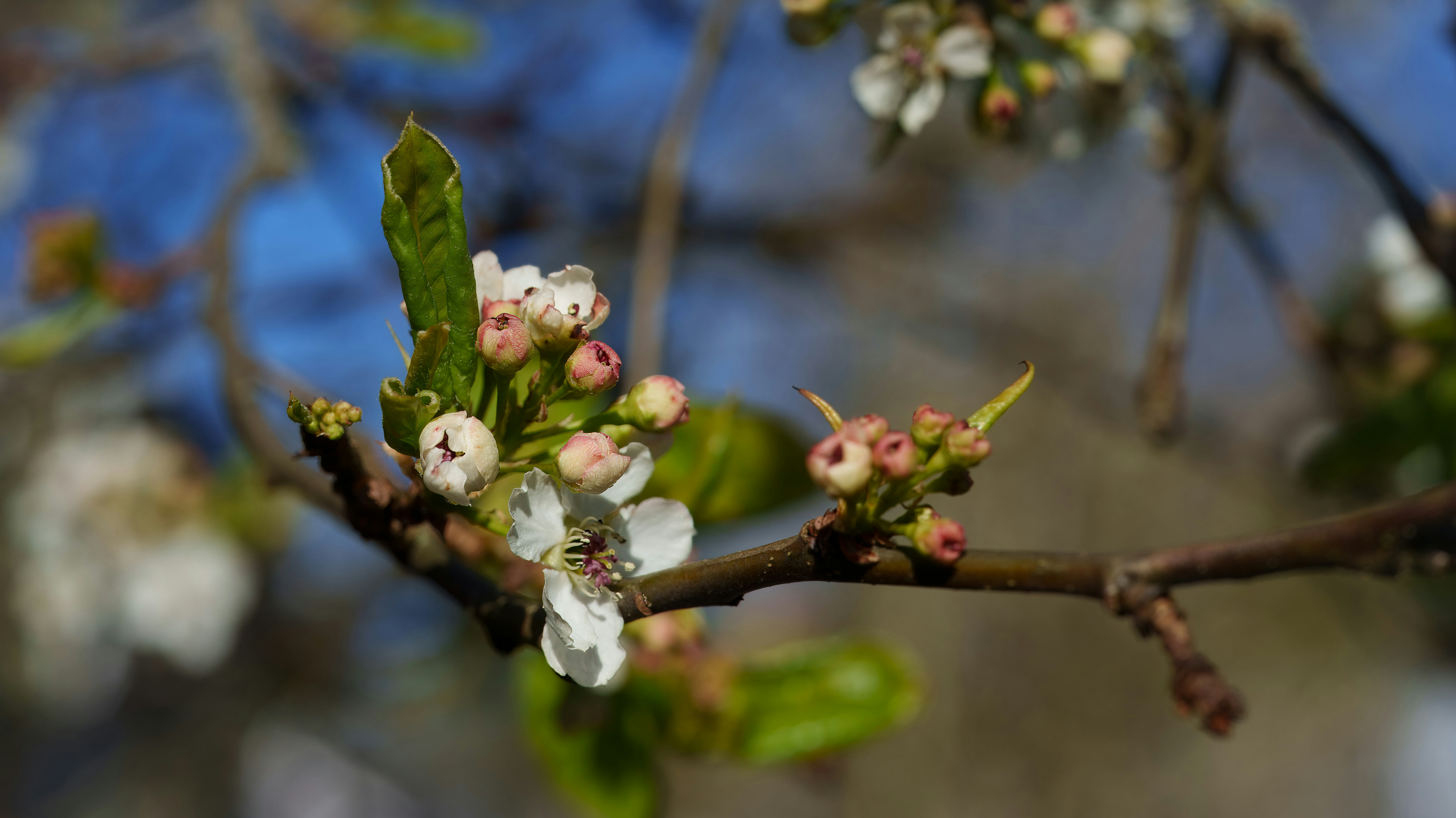 Photo by windowseatphotography