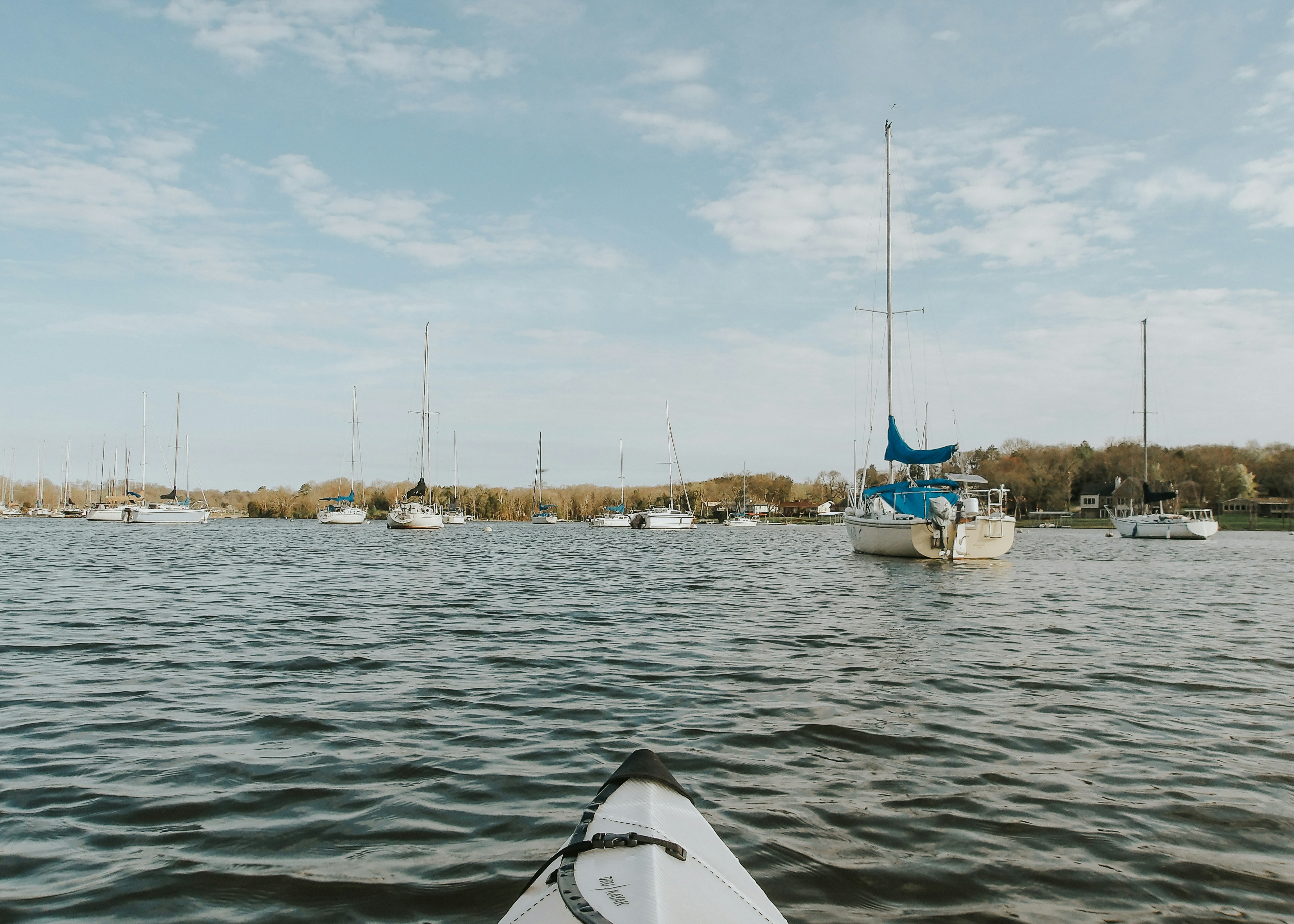 Uniewinnienie kajakarki Doroty Borowskiej przez Trybunał Arbitrażowy ds. Sportu w Lozannie